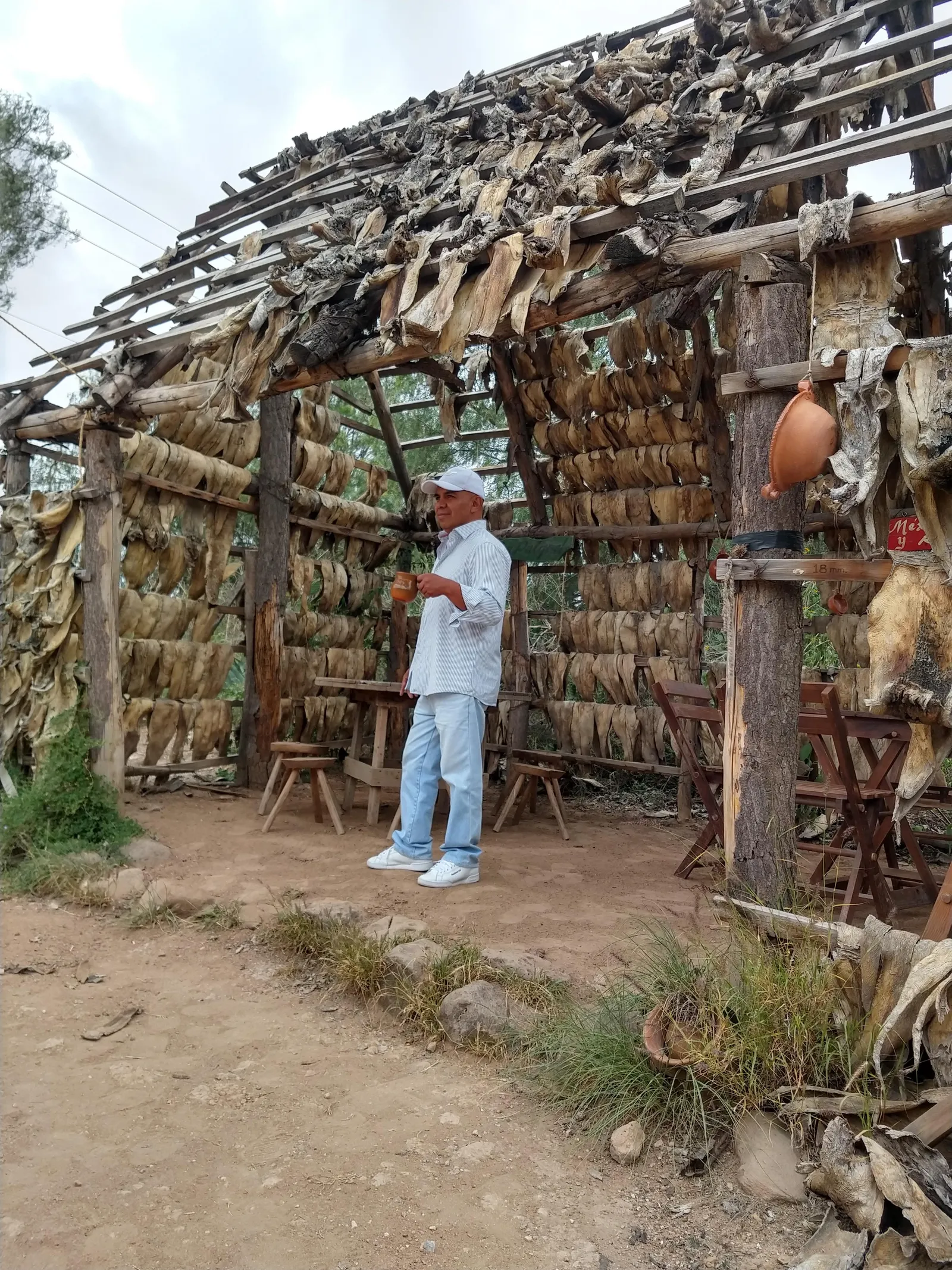 El Jacalito image 6