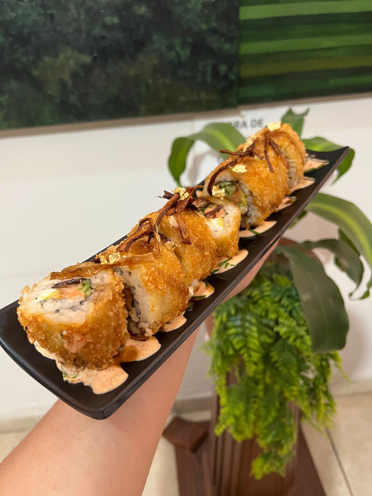 MACHI SUCHI ATOTONILCO image 2