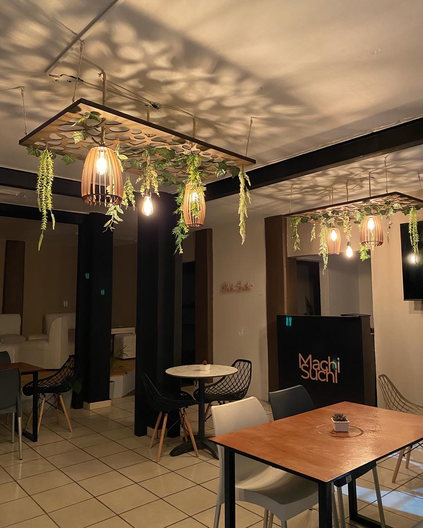 MACHI SUCHI ATOTONILCO image 8