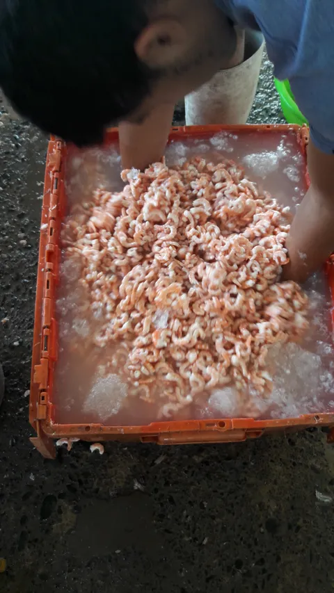 Pescados Y Mariscos Los Chinos image 2