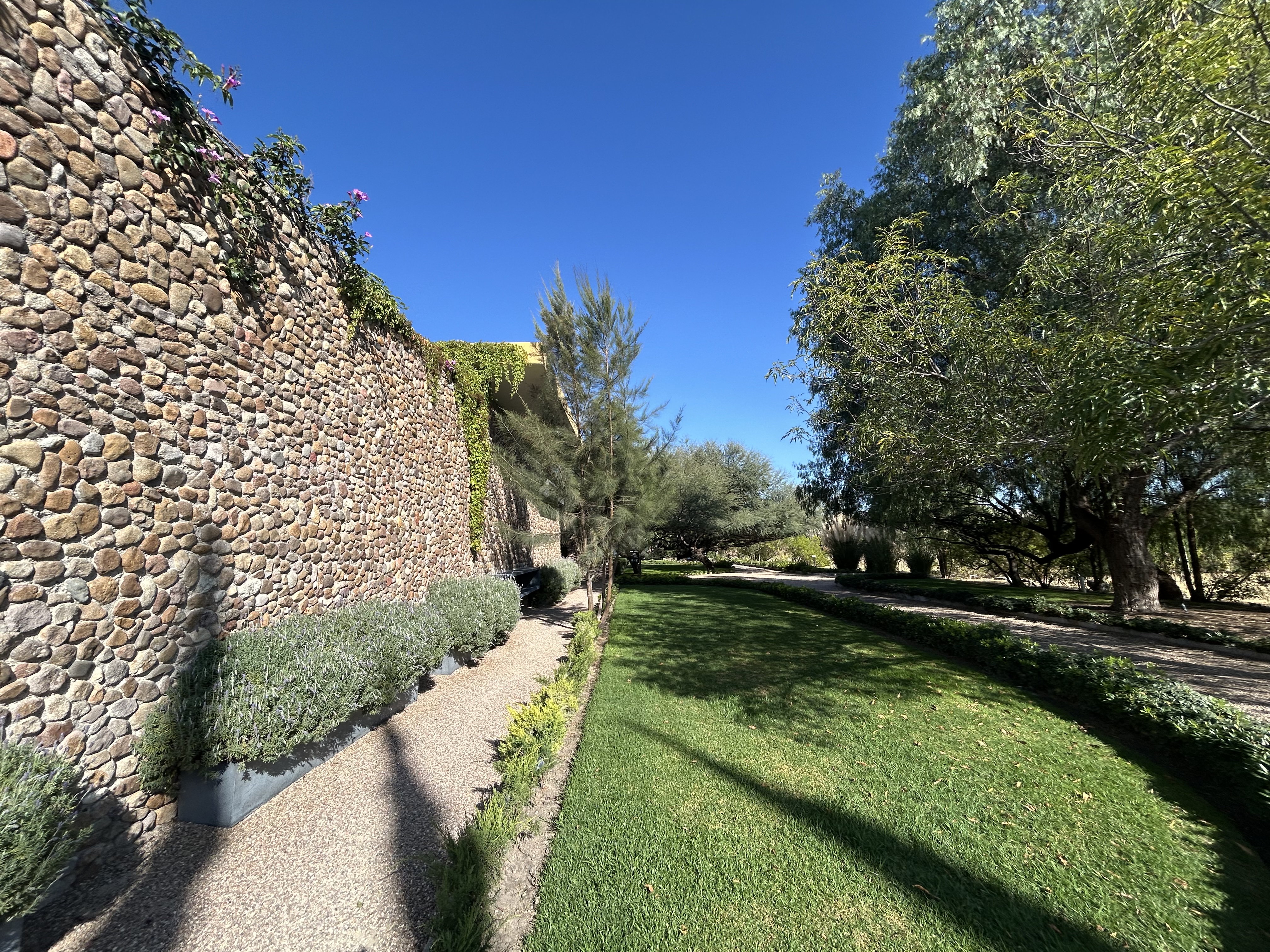 Barrica de Fuego image 7