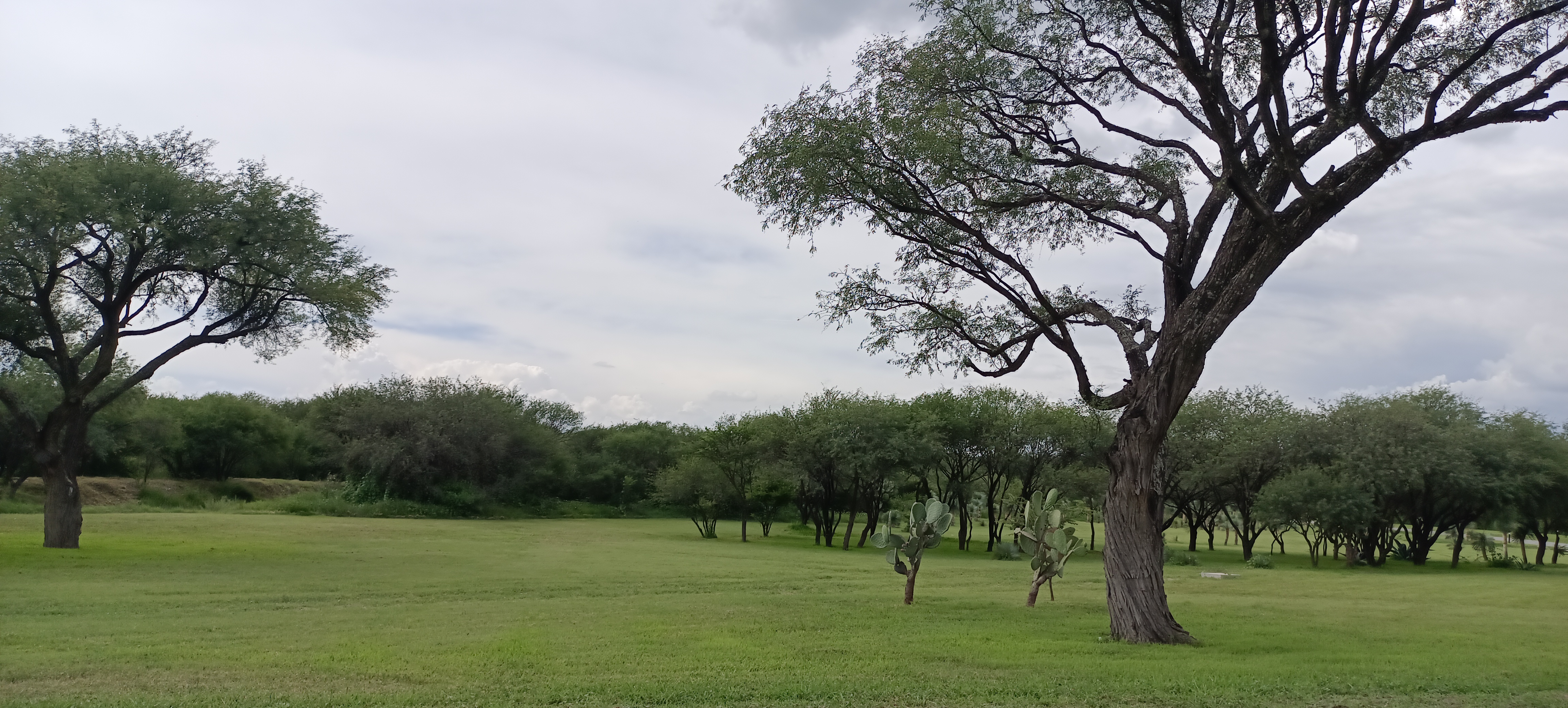 Barrica de Fuego image 9