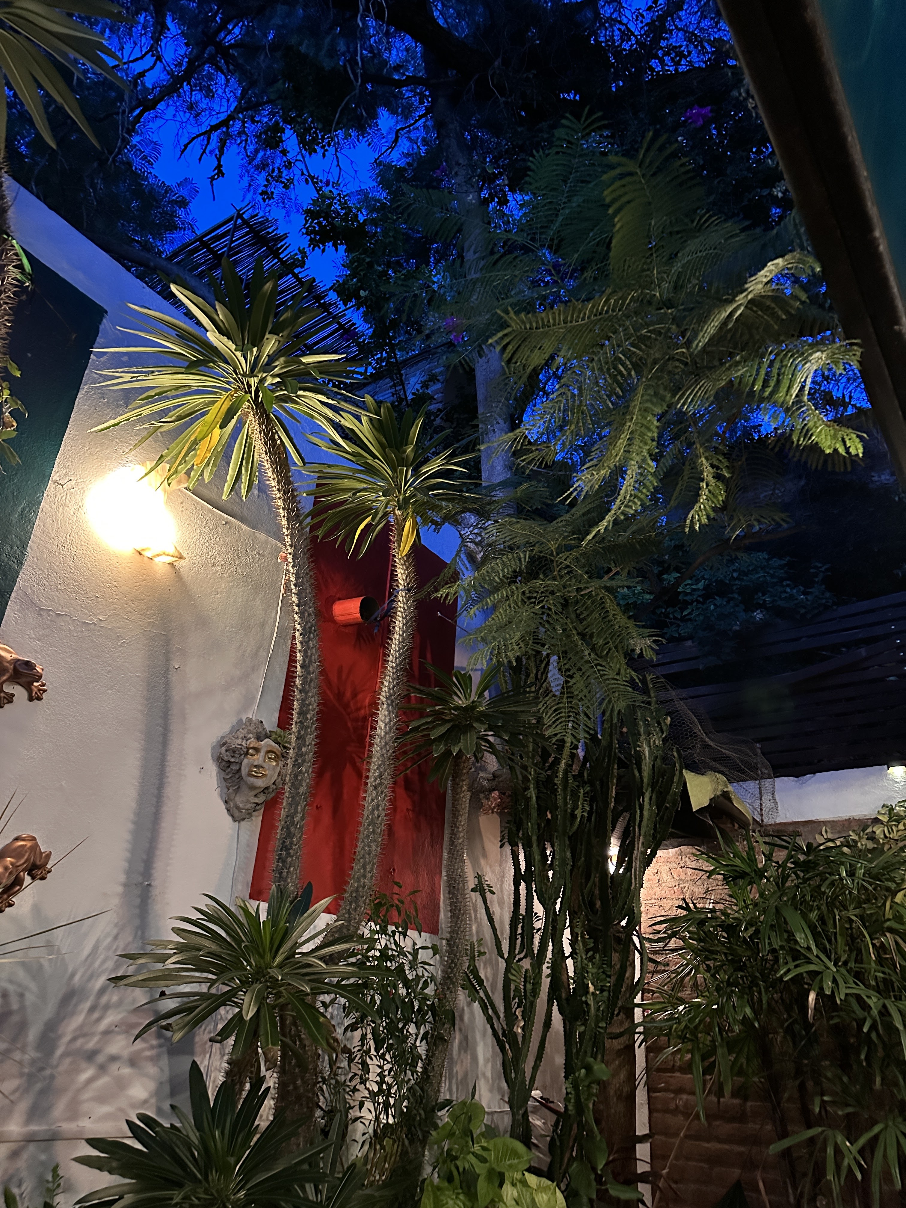 Mare Nostrum Restaurant image 8