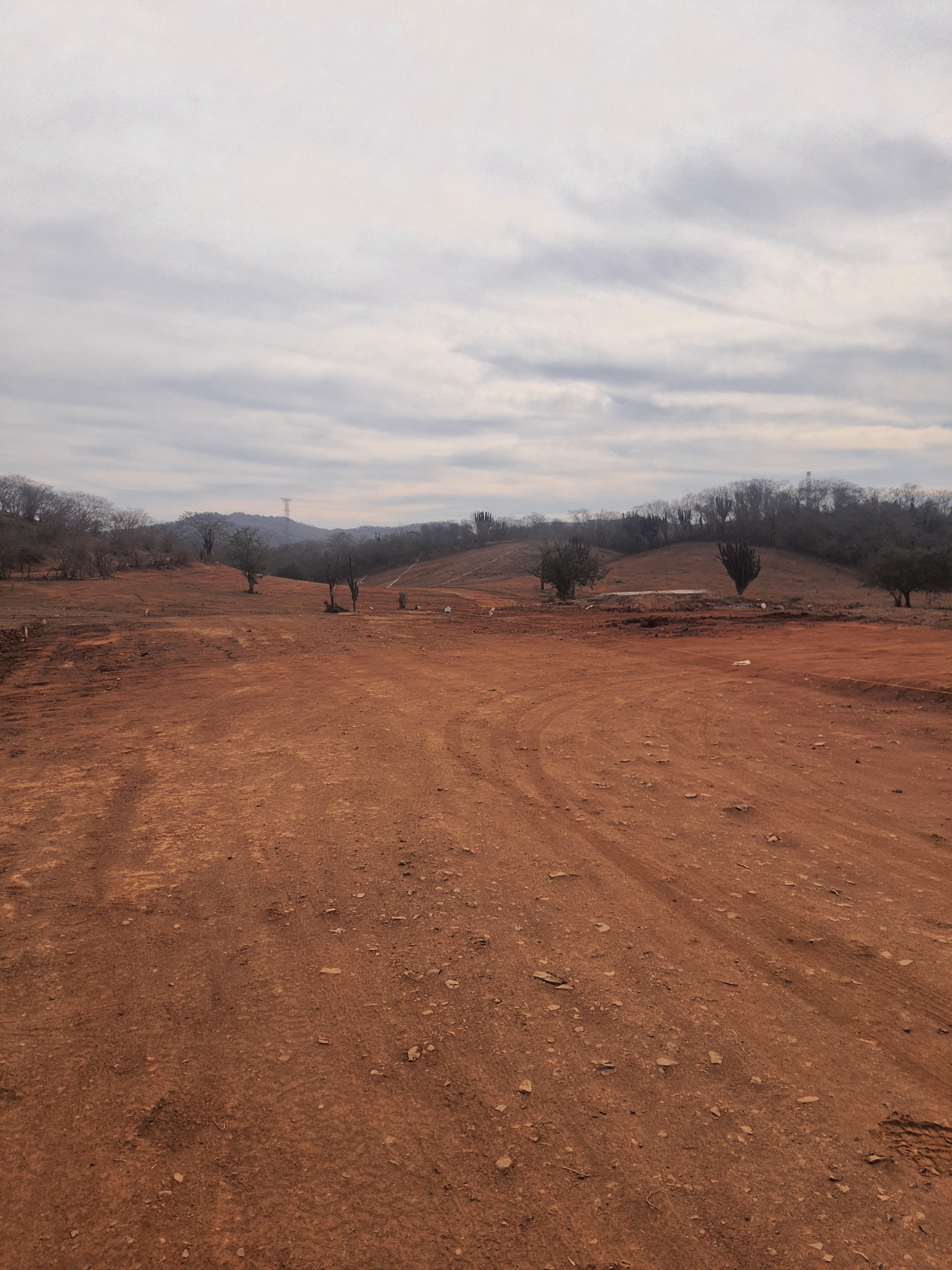 El Sazón de Doña Olga image 6