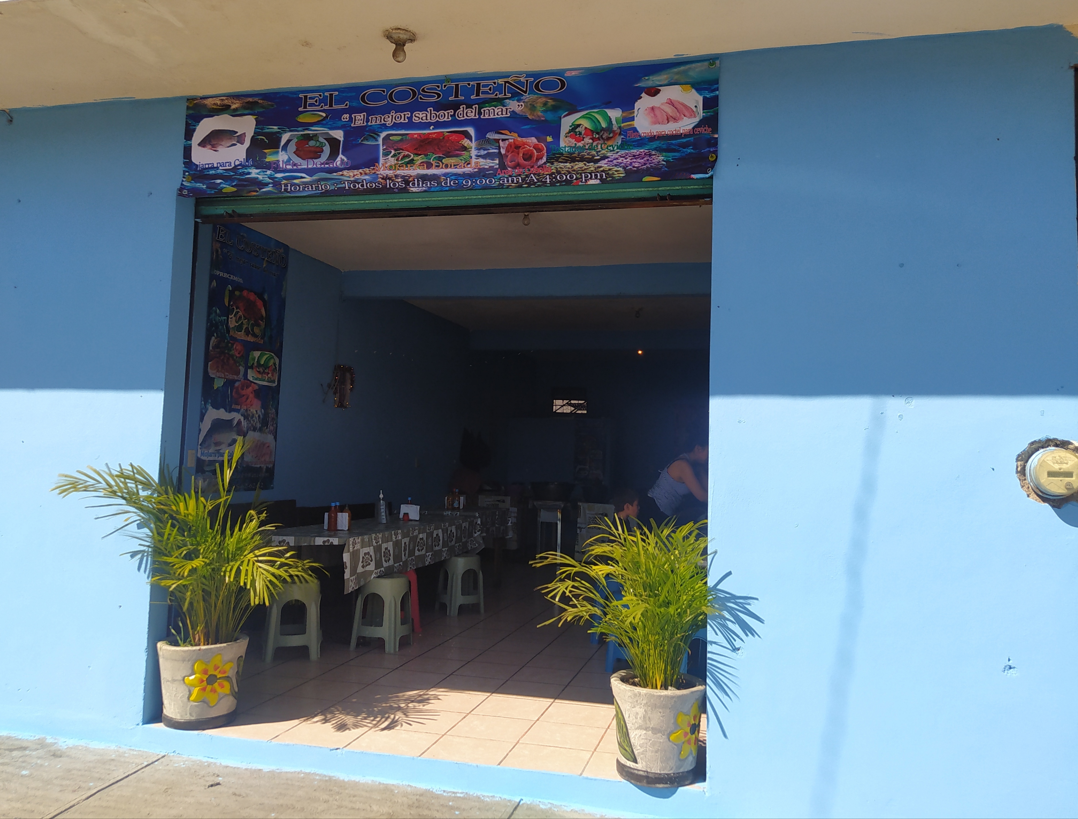 Carpas doradas Adán Chávez image 1