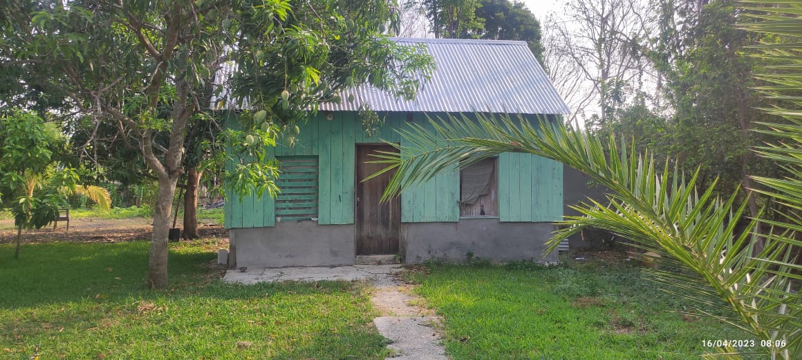 Comedor KEYDASH image 10