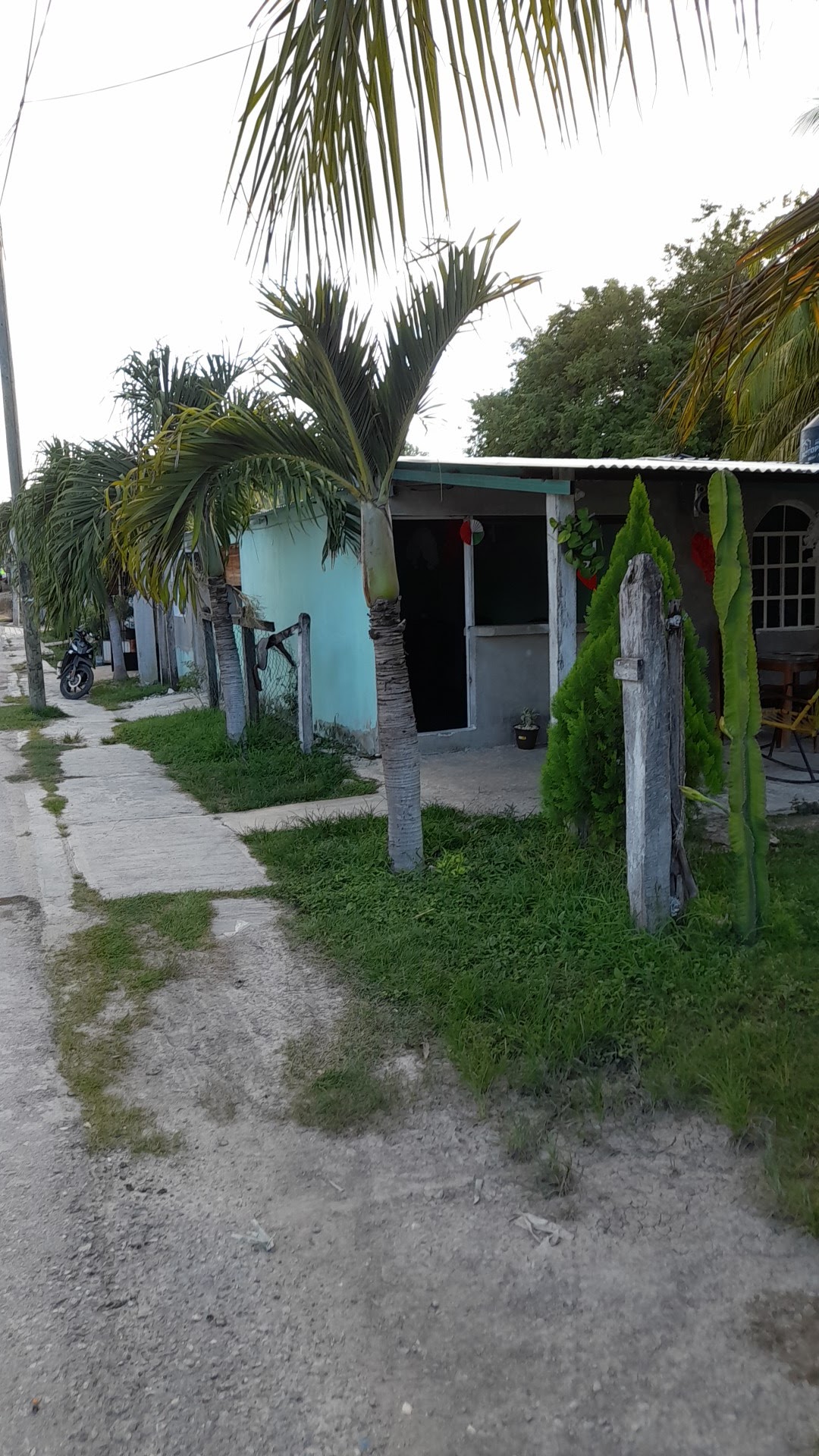 Cockteleria " Las Palmitas" image 2