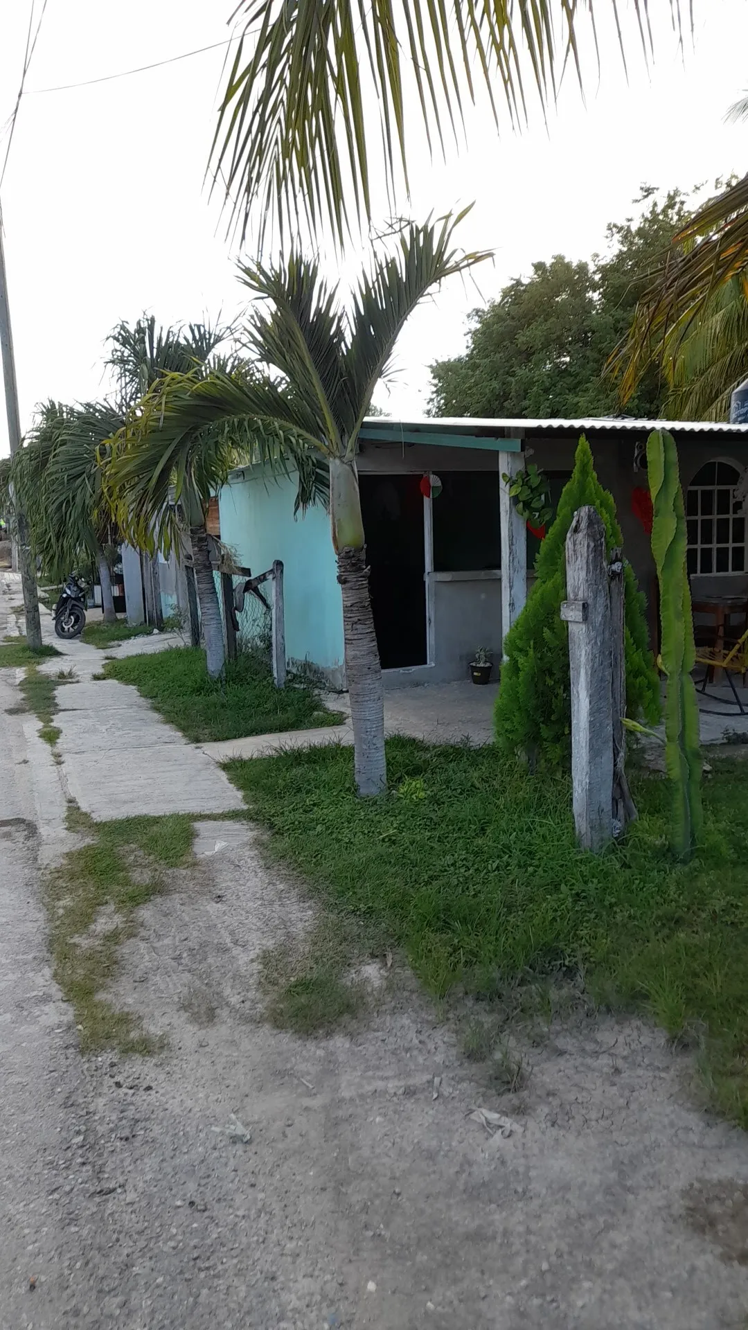 Cockteleria " Las Palmitas" image 2