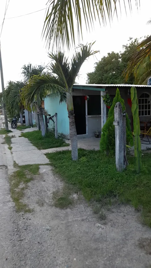 Cockteleria " Las Palmitas" image 2