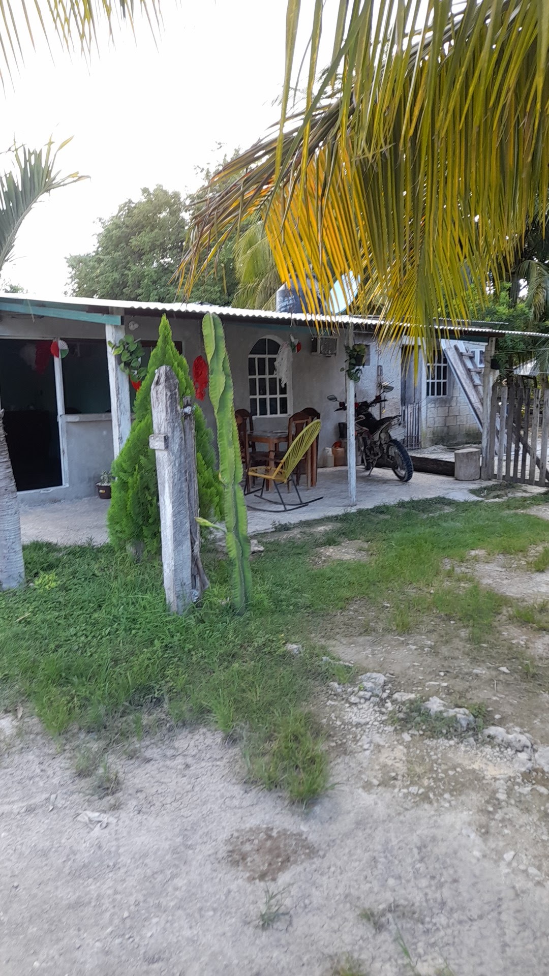 Cockteleria " Las Palmitas" image 5