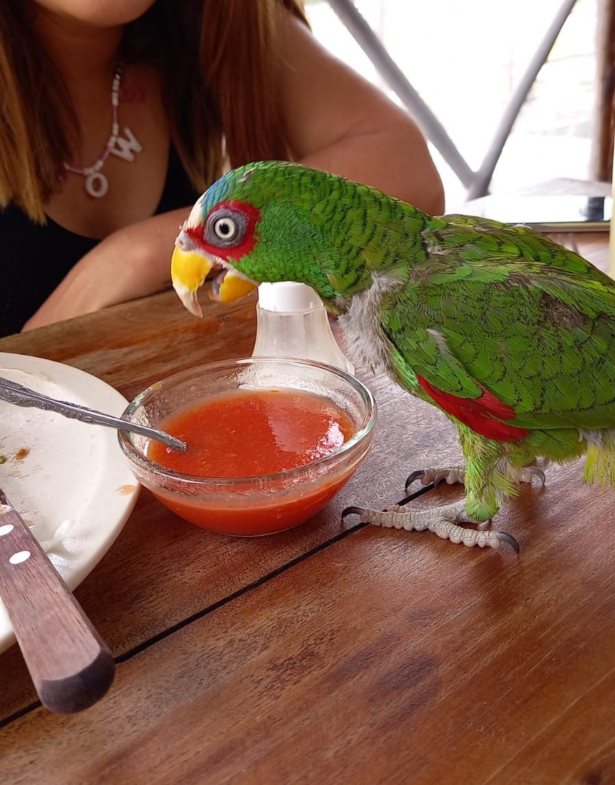 Restaurante Conhuas image 9