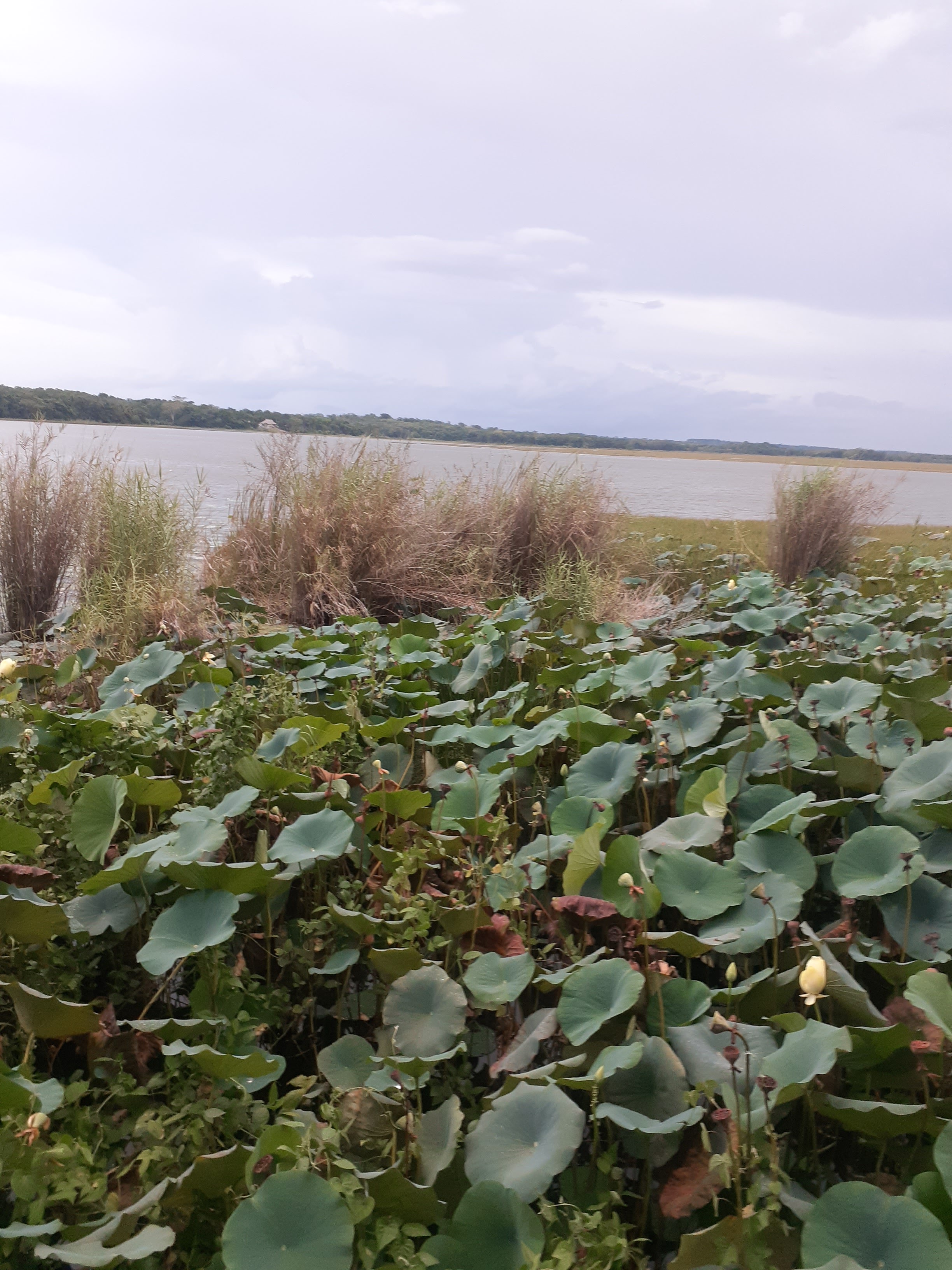 Taqueria genisis image 7
