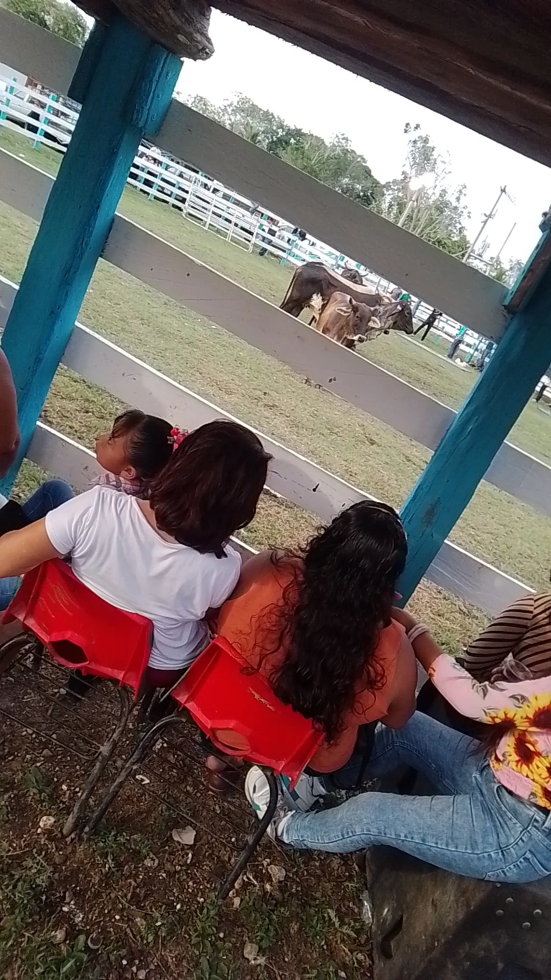 Antojitos Doña Rosy image 1