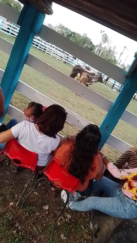 Antojitos Doña Rosy image 1