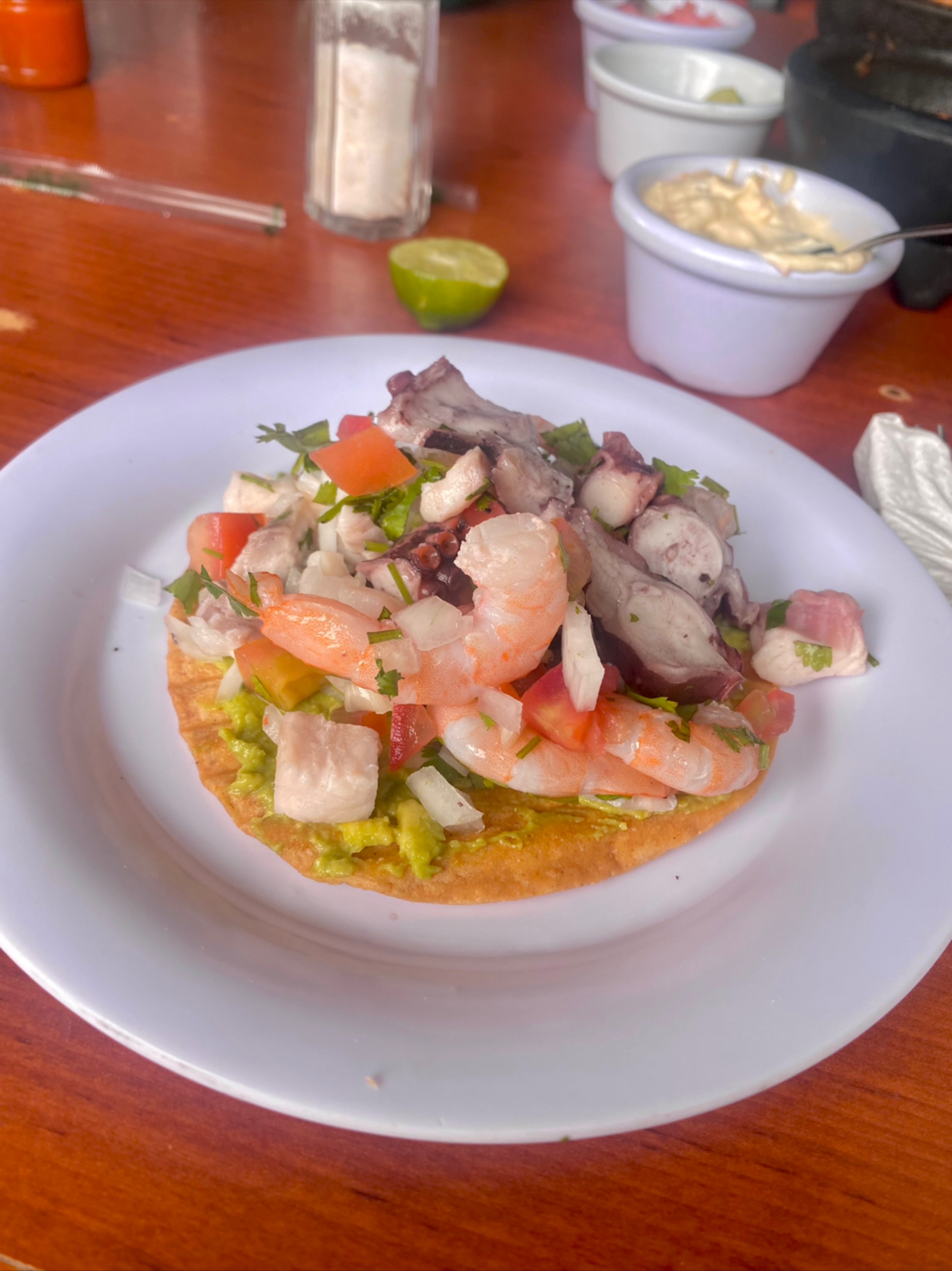 Camaron Zarazo image 8