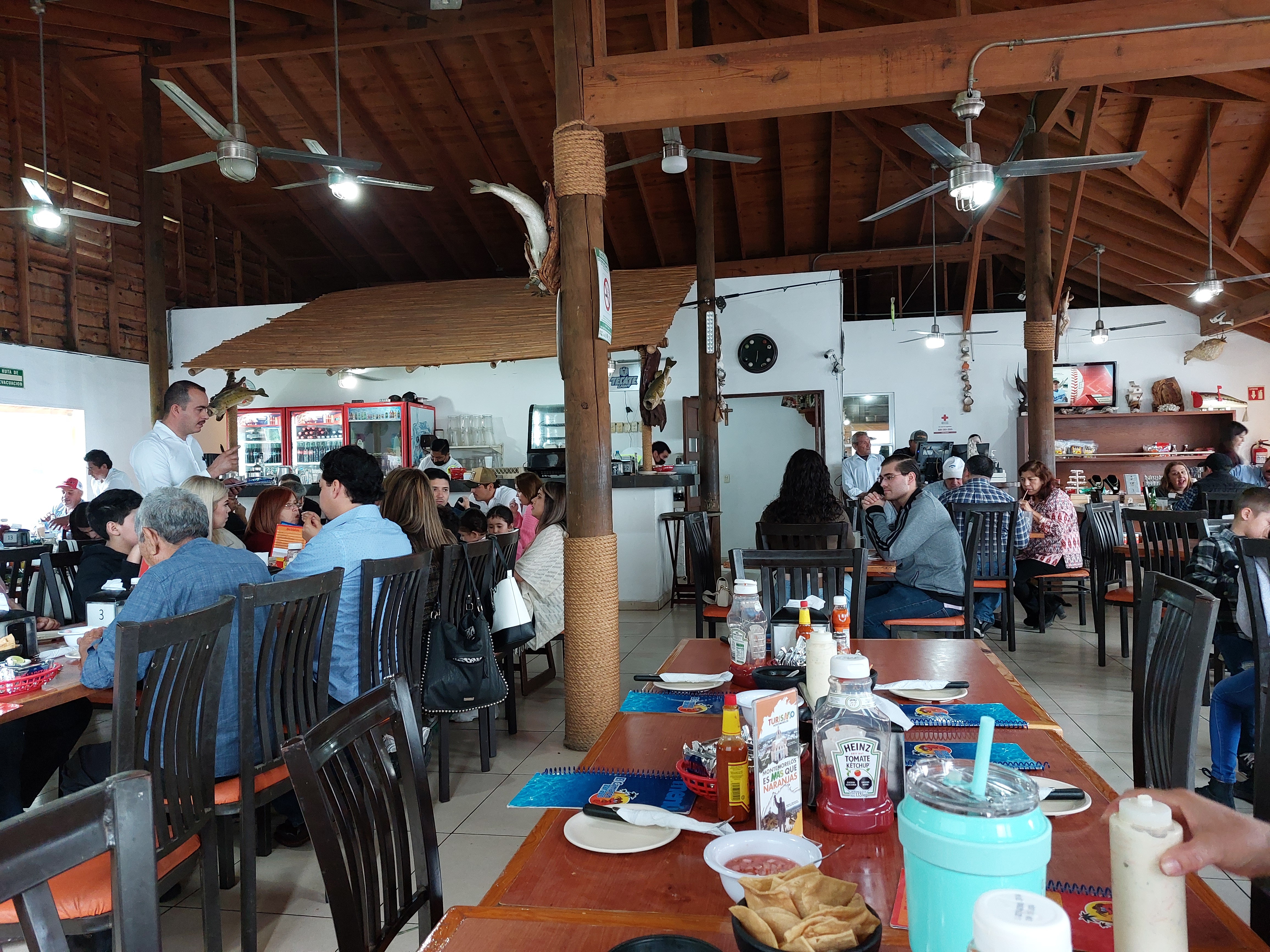 Camaron Zarazo image 10