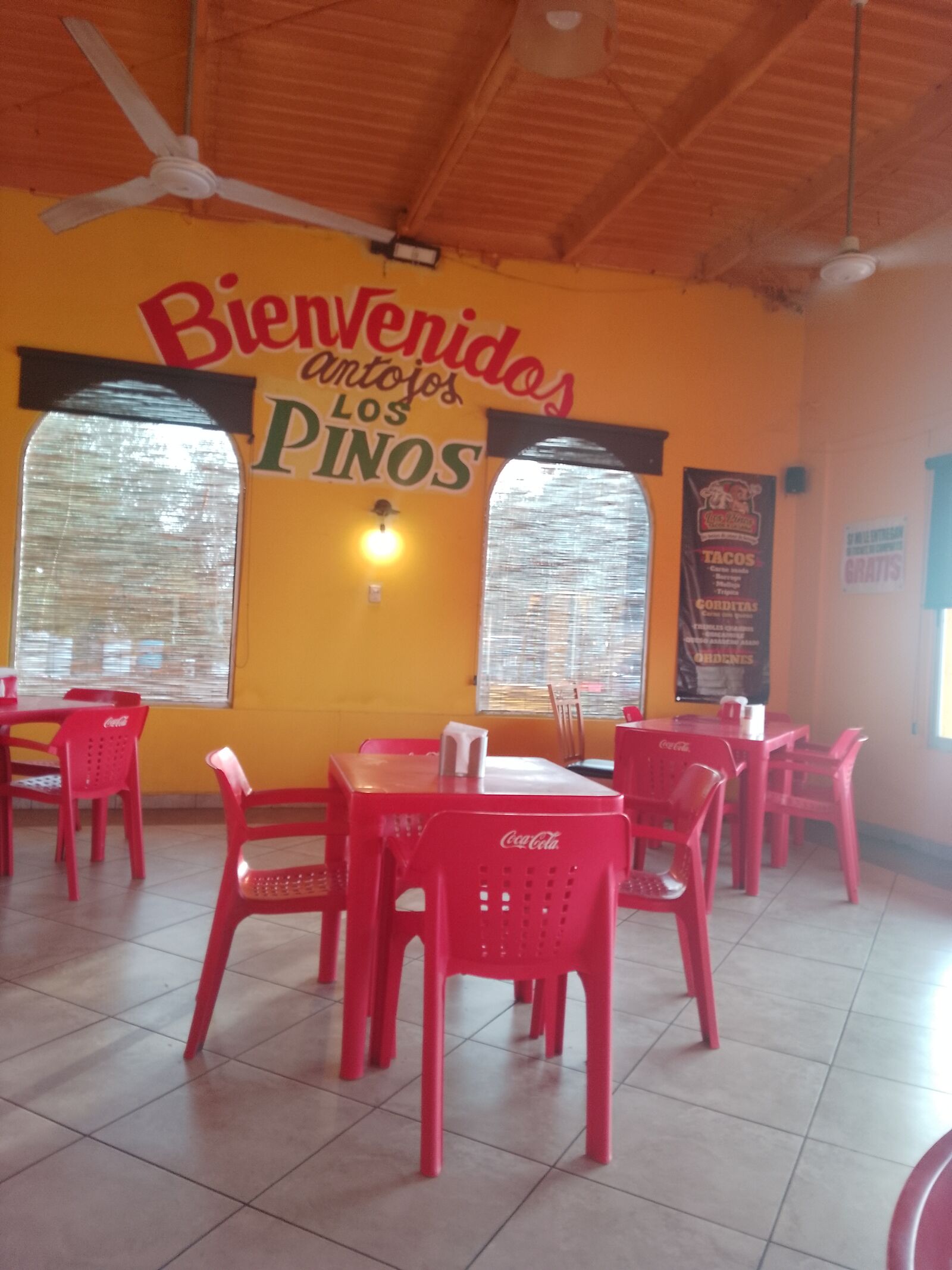 Los Pinos image 9