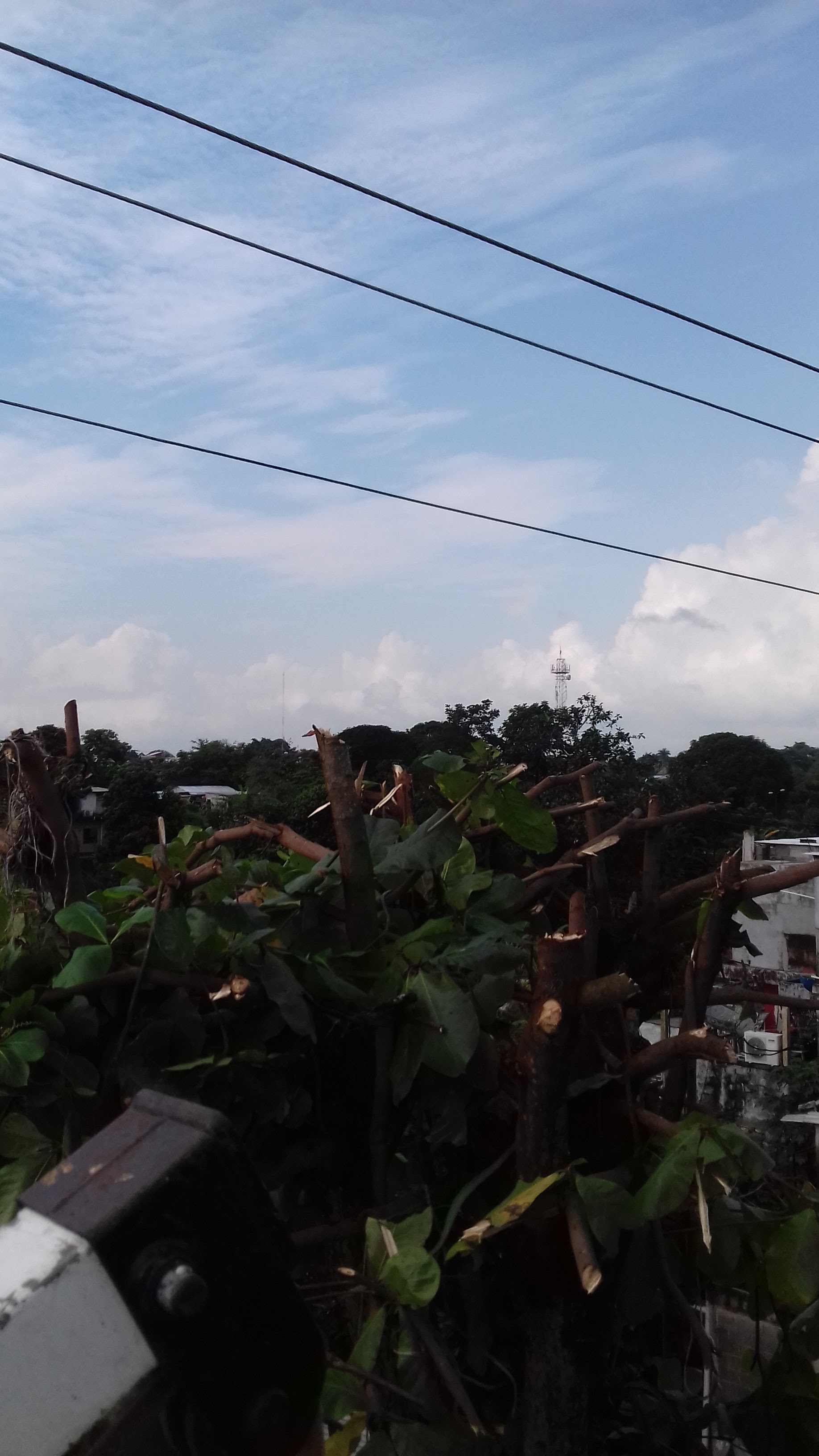 CAFÉ G U I C H I A O image 10