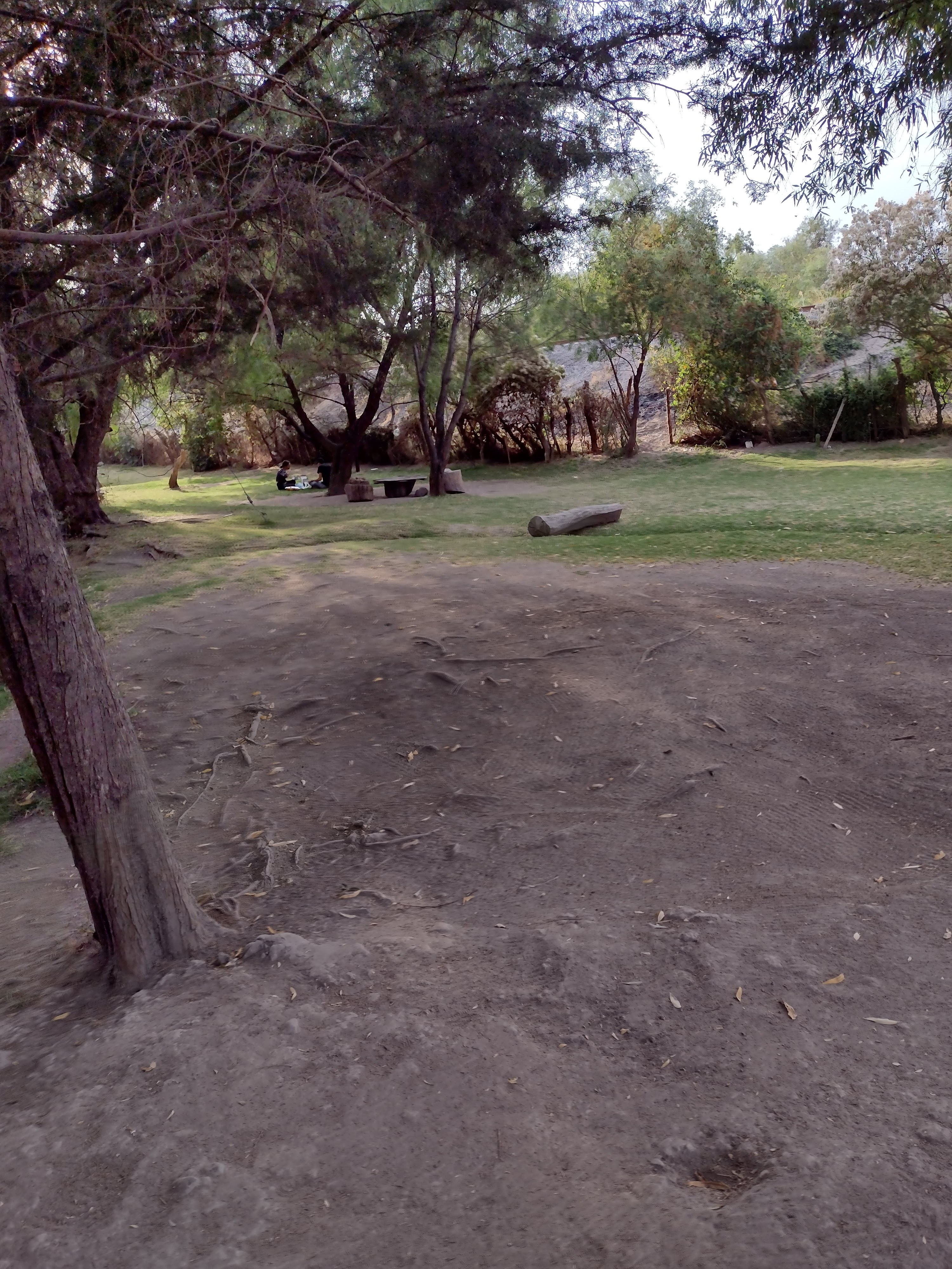 Mariscos Don Cuco image 3