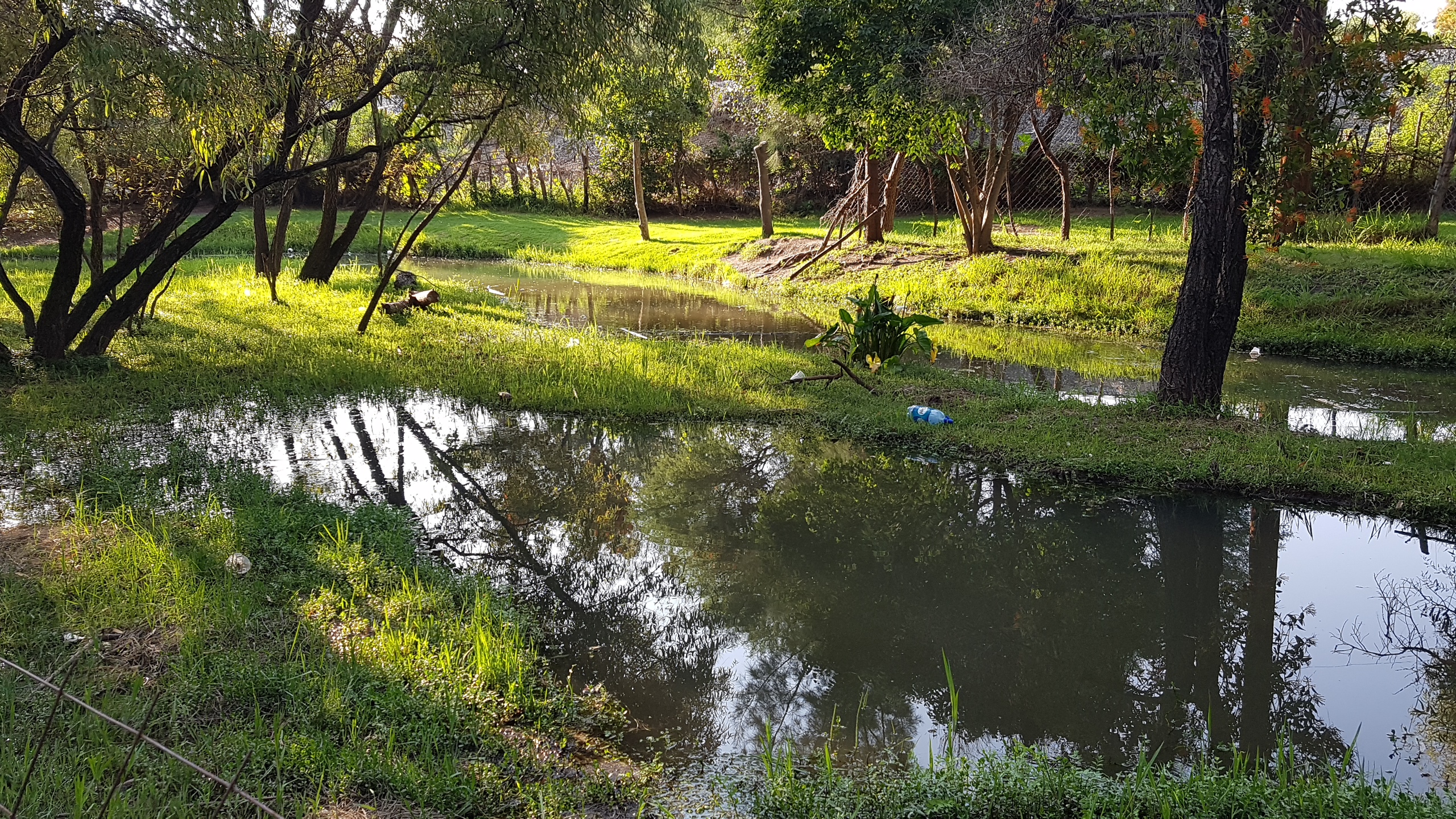 Mariscos Don Cuco image 7