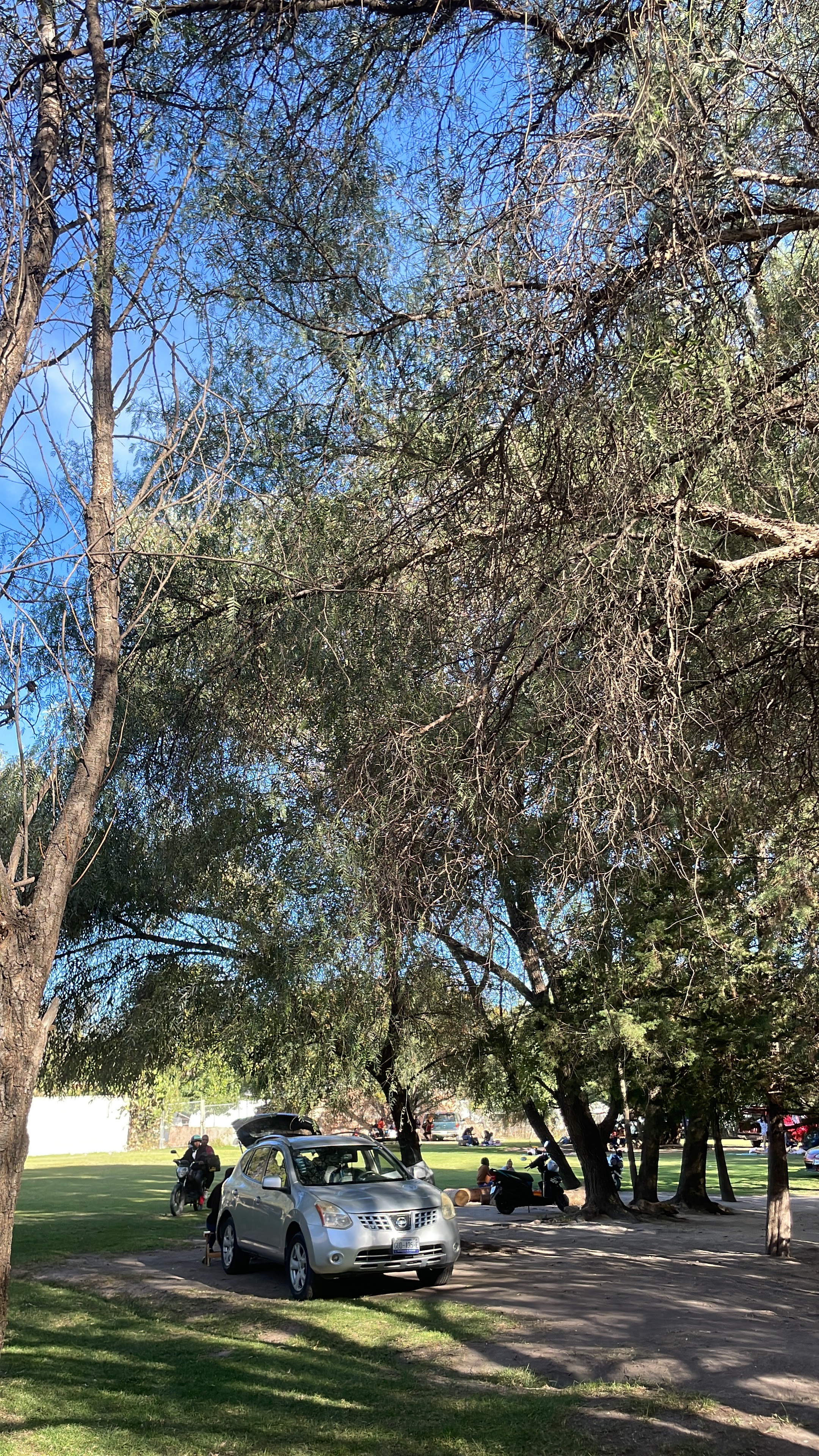 Mariscos Don Cuco image 9