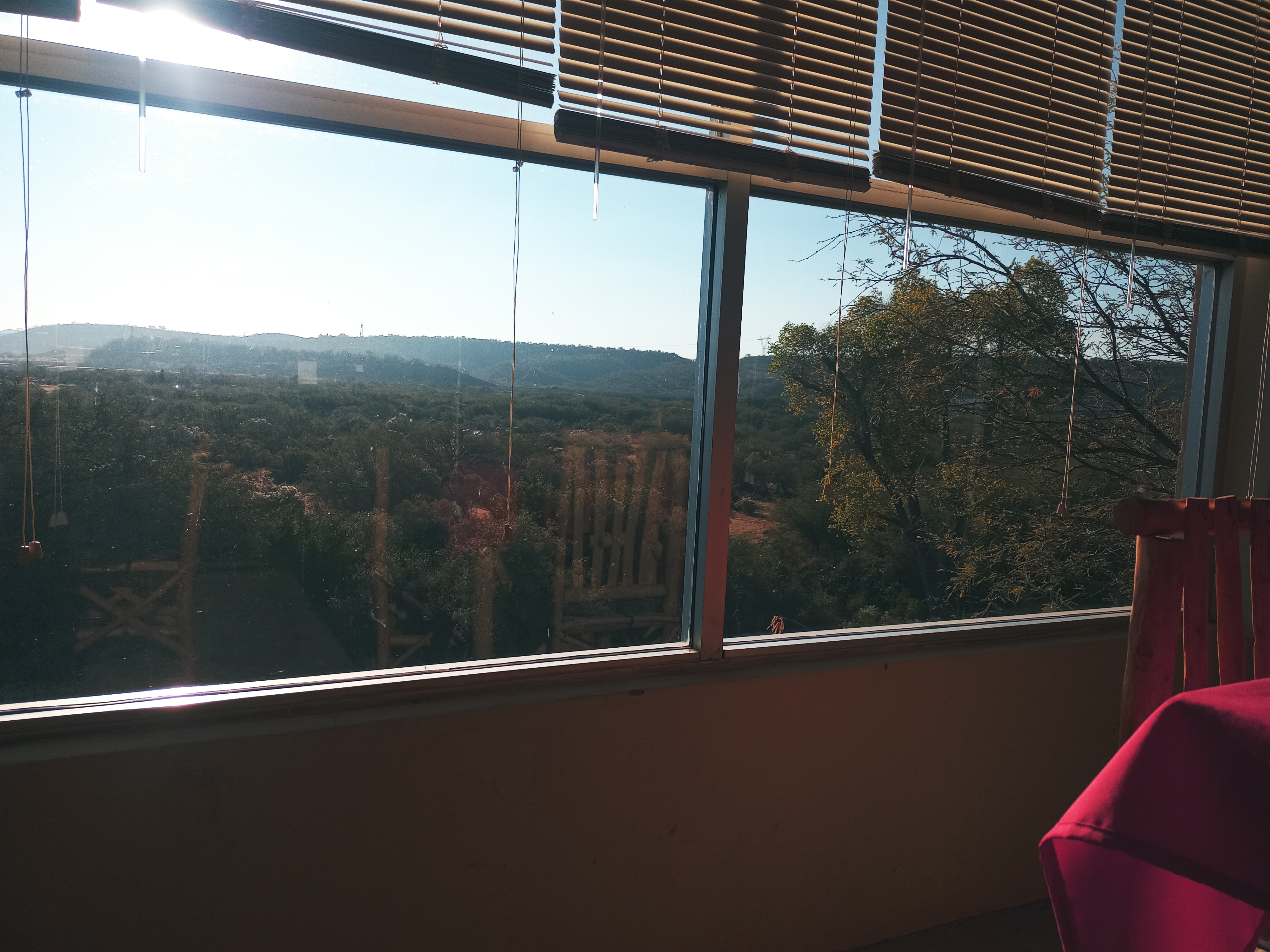 Puesto rossy image 3