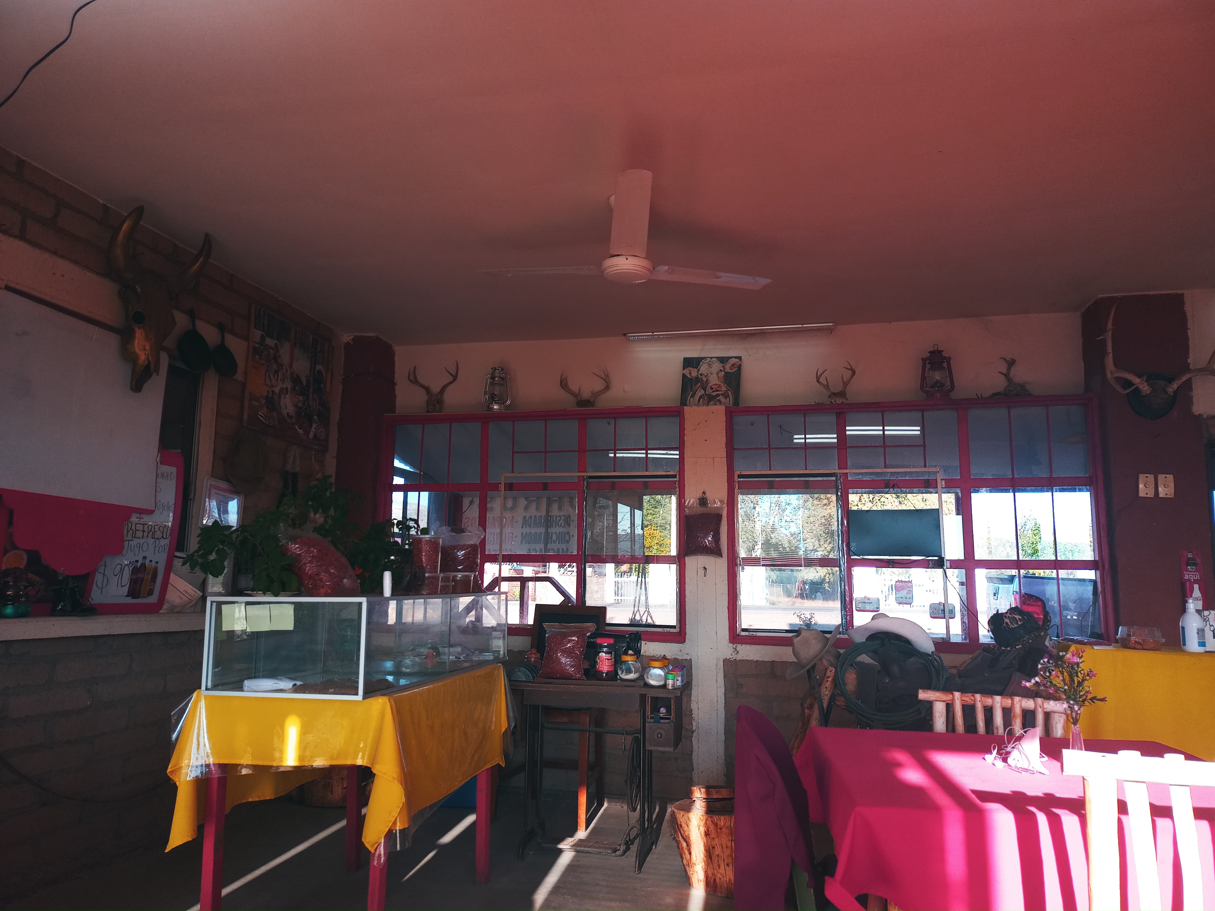 Puesto rossy image 4