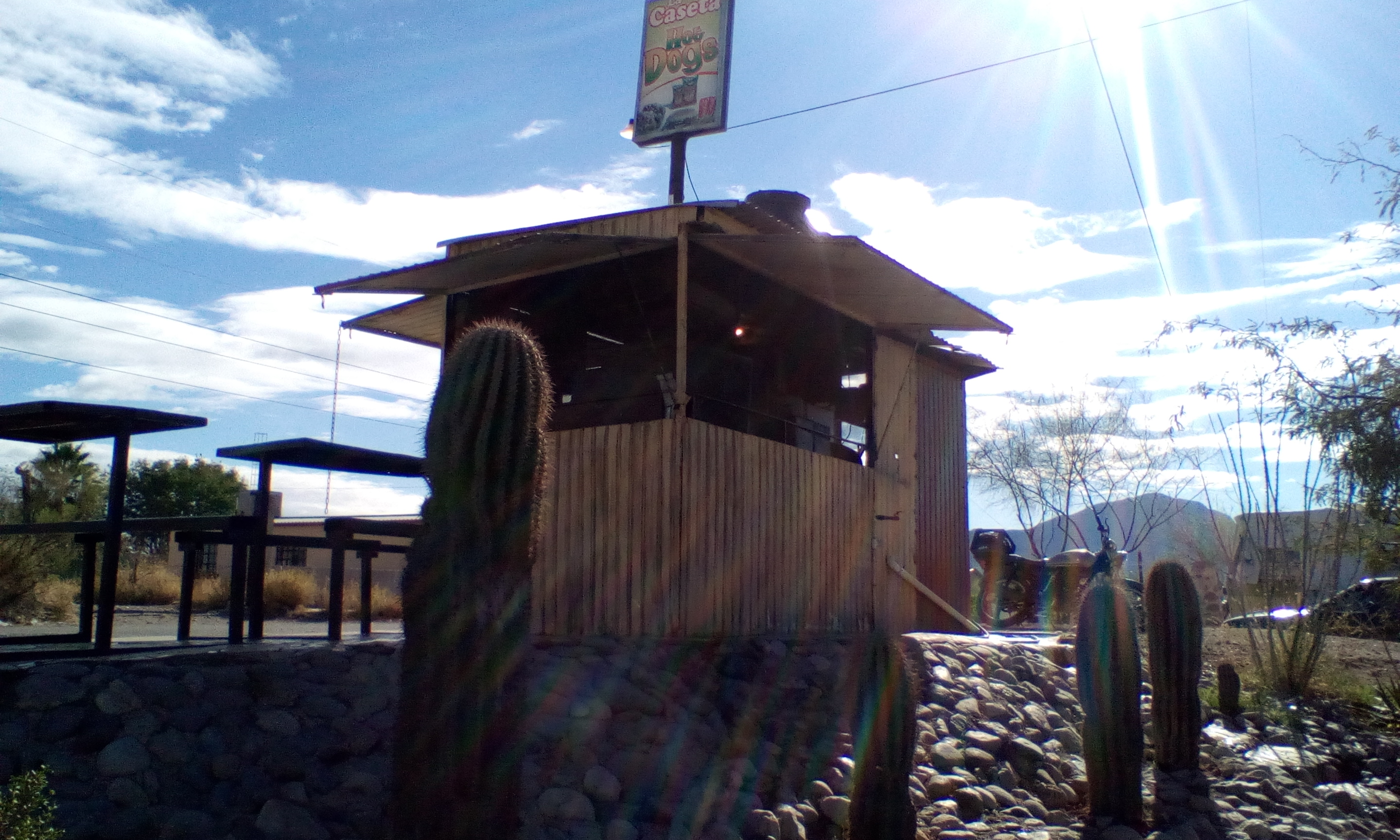 La Caseta sushis & boneles image 3