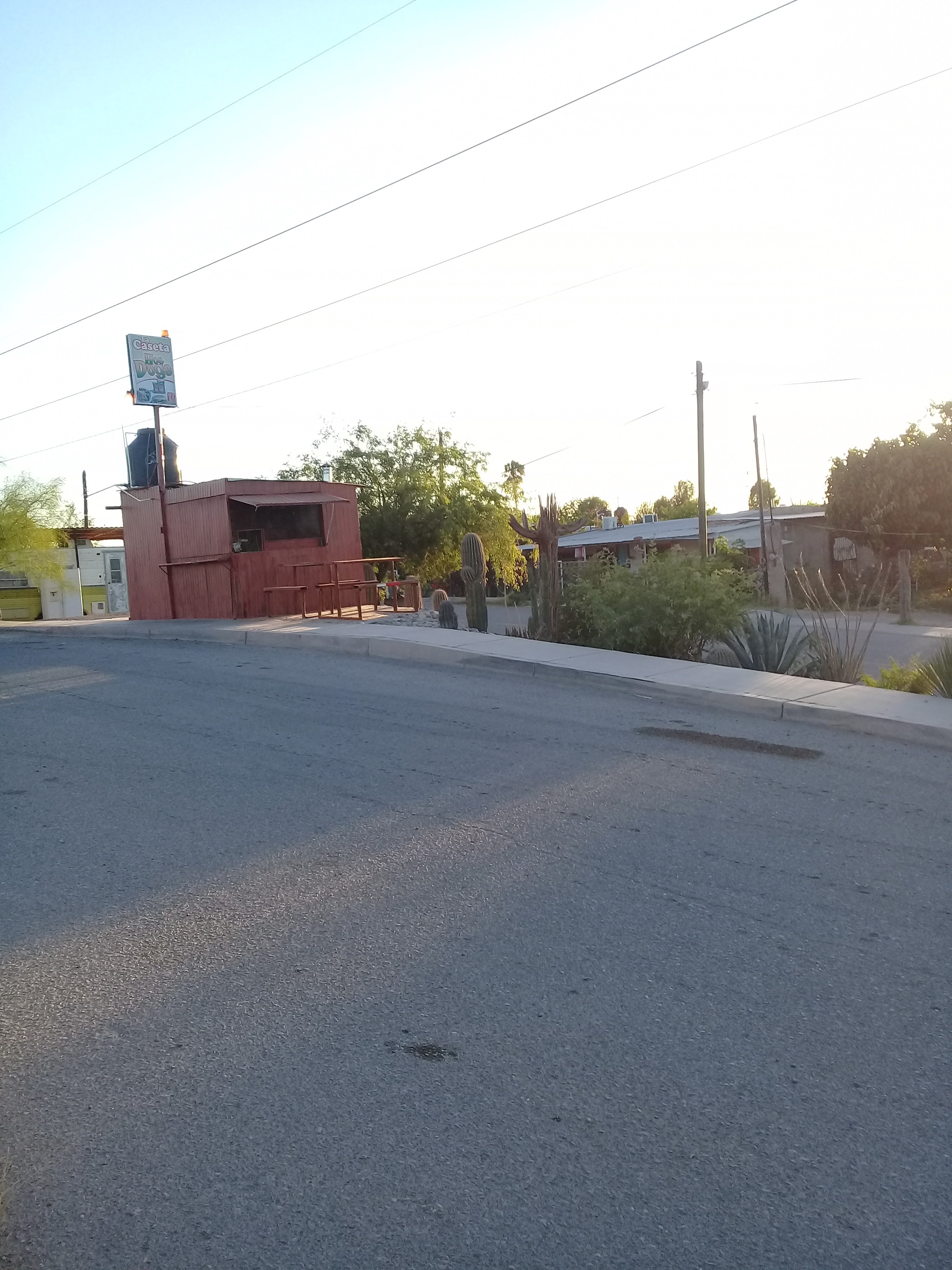 La Caseta sushis & boneles image 6