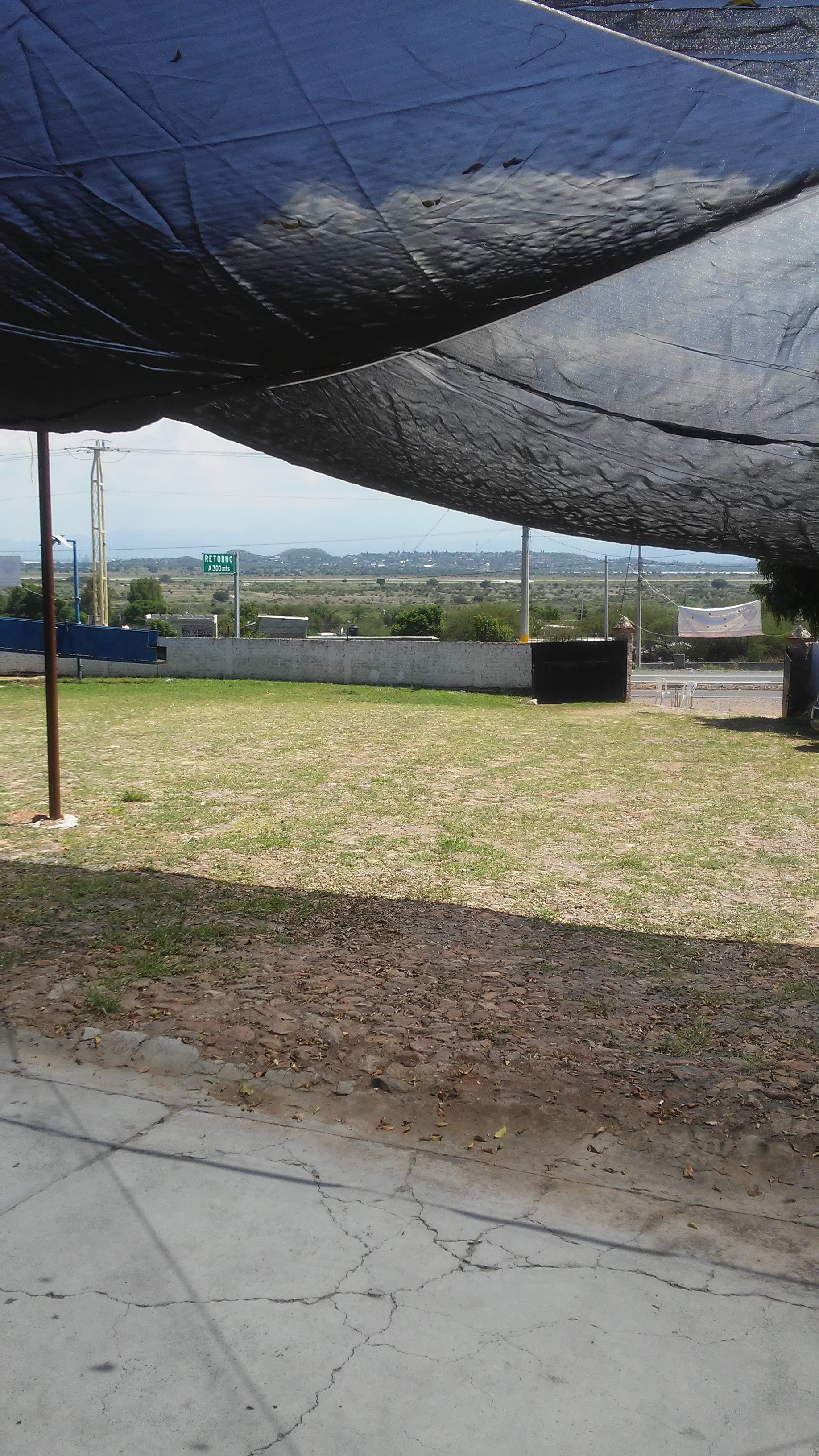 LA REGIONAL Antojitos Mexicanos image 4