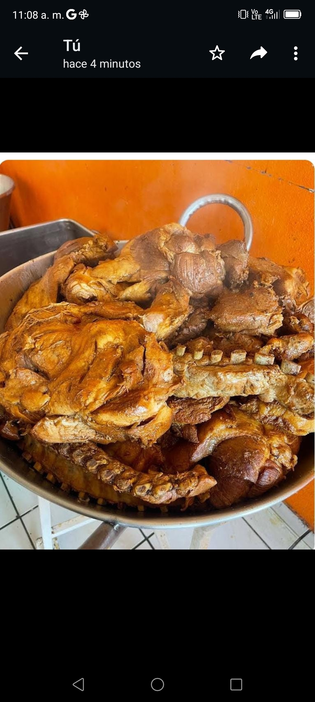 Carnitas Deleite image 7