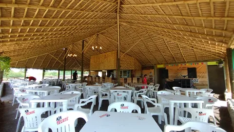 El Atoron de las Palmas image 1