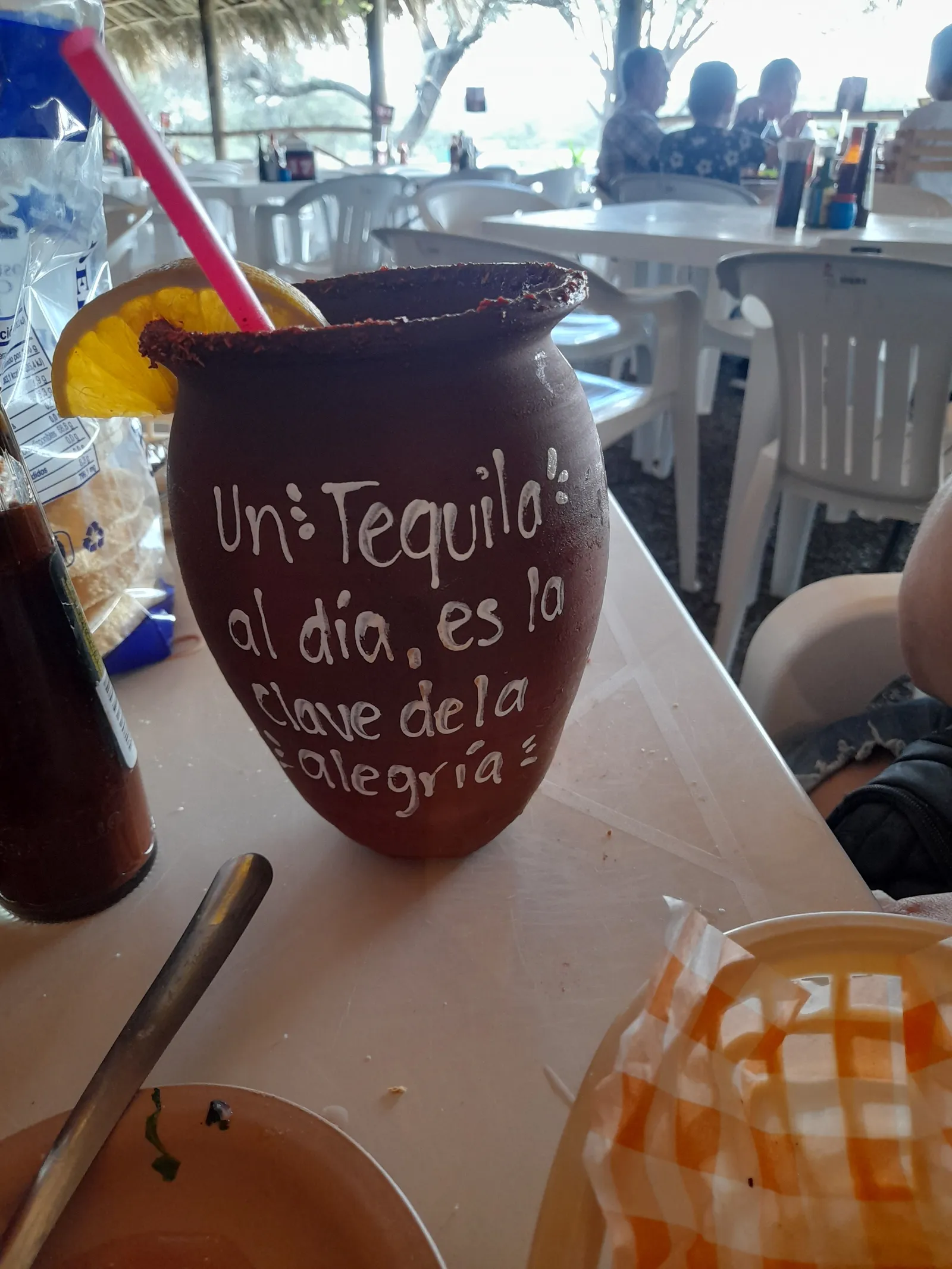 El Atoron de las Palmas image 5