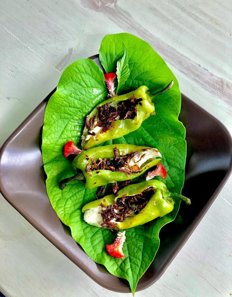 Choza De Chivis image 2