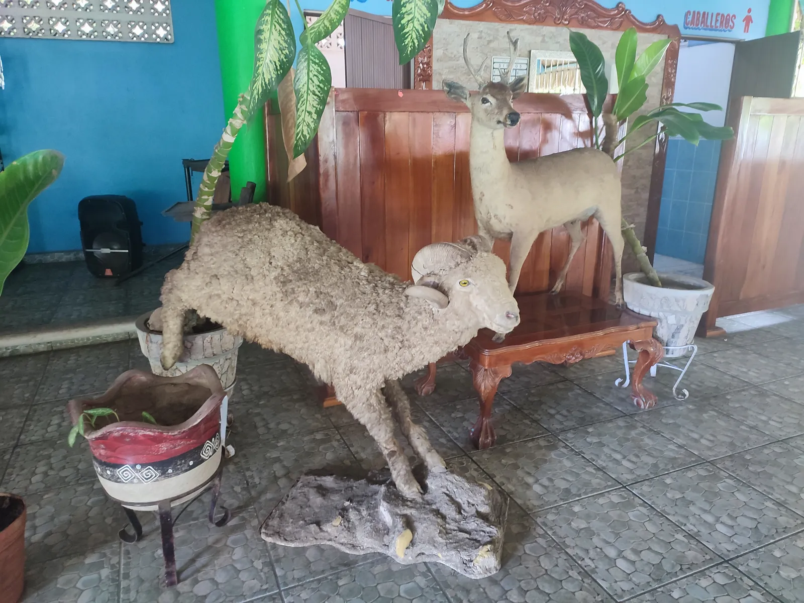 Palapa el Poblanito image 7