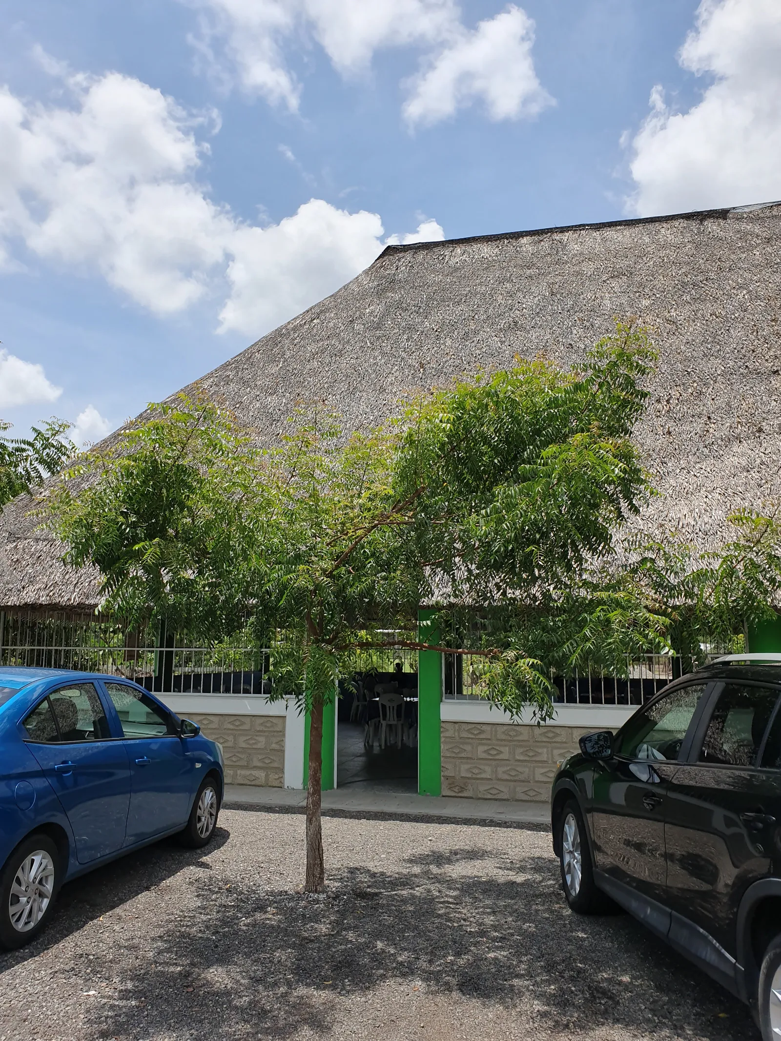 Palapa el Poblanito image 8