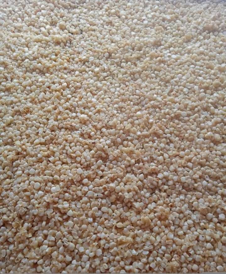 "HOT DOGS LOS PIONEROS" image 7