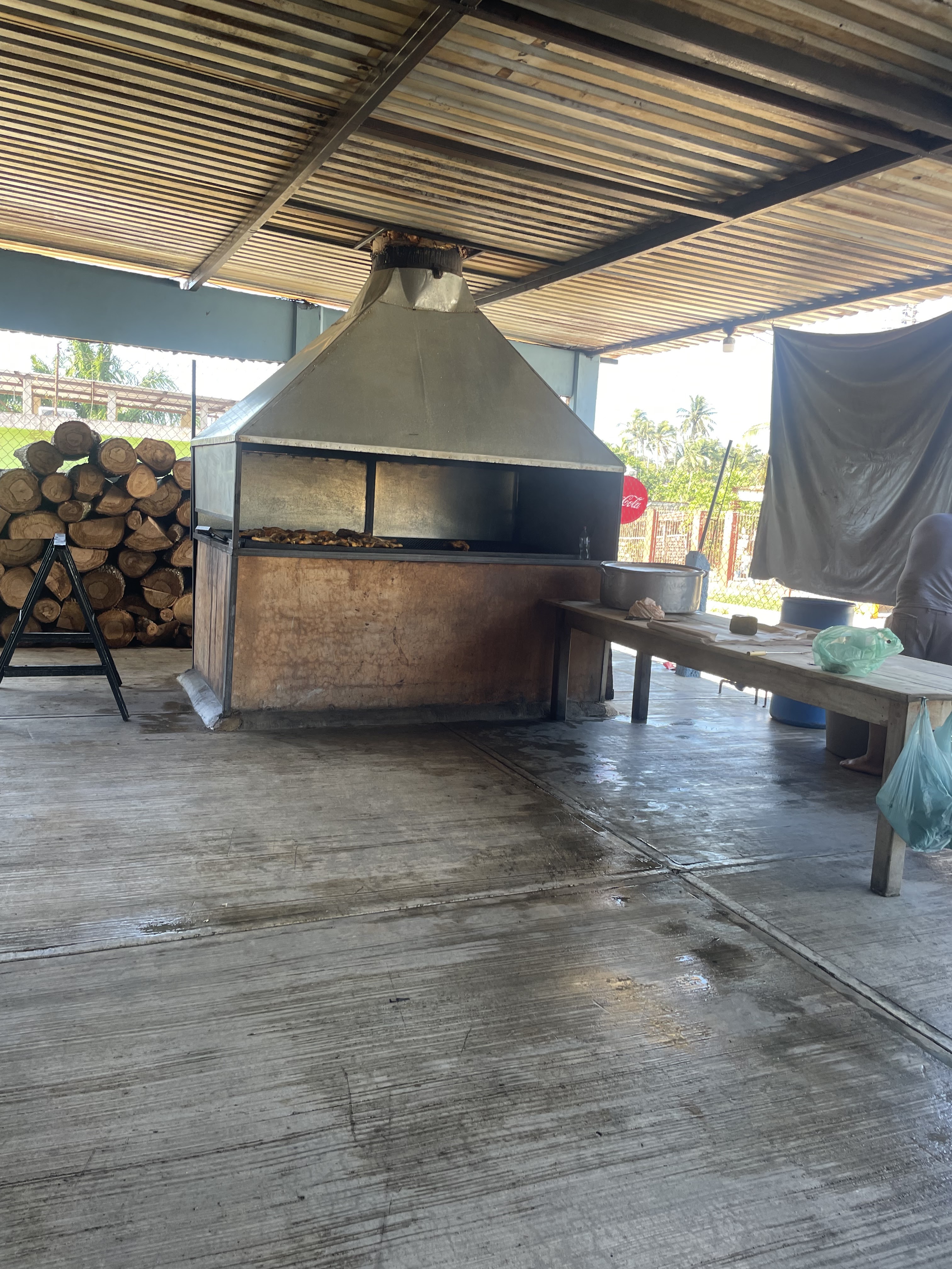 pollos baruch oluta veracruz image 9