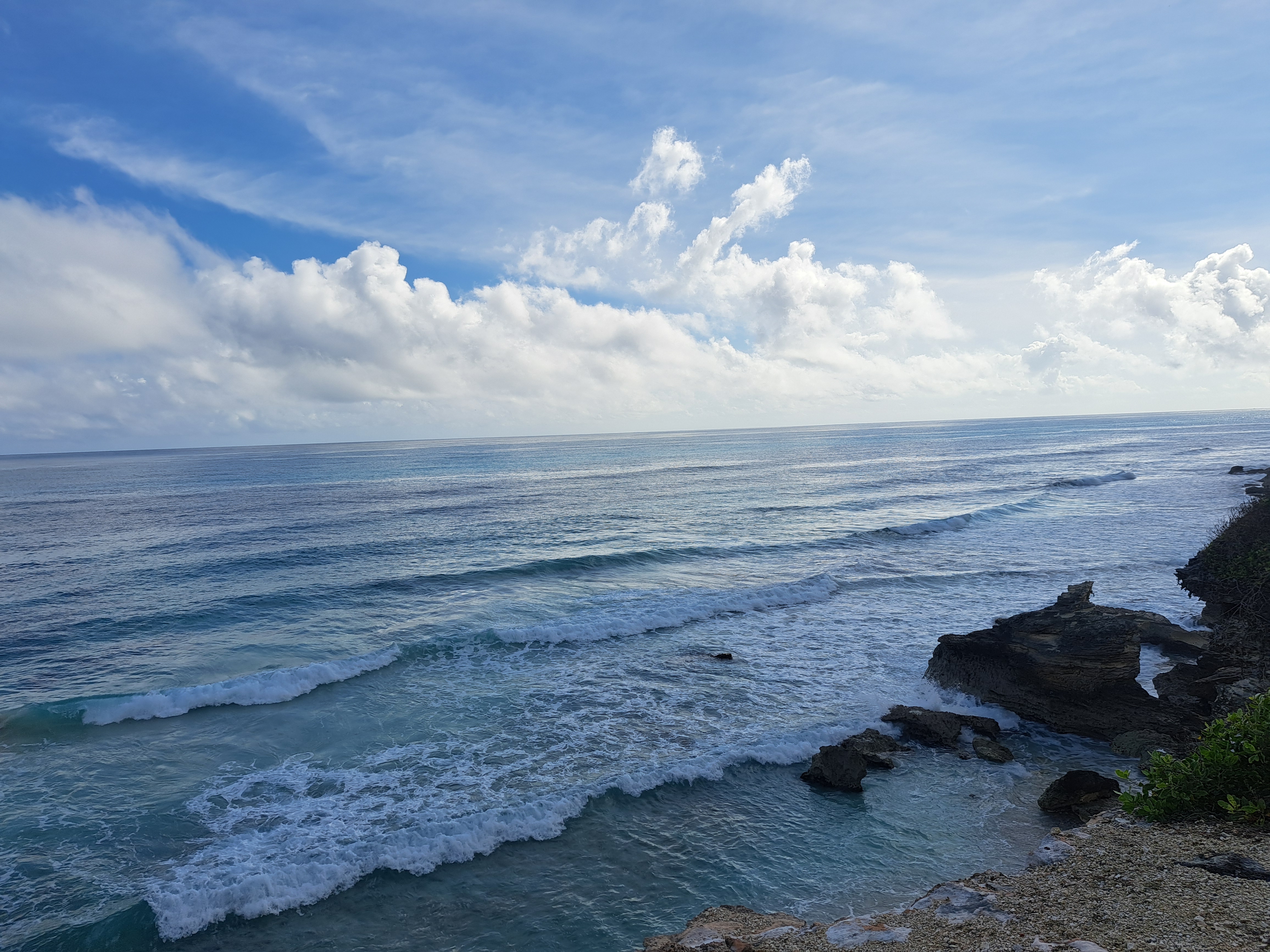 Konita’s Cantina image 2