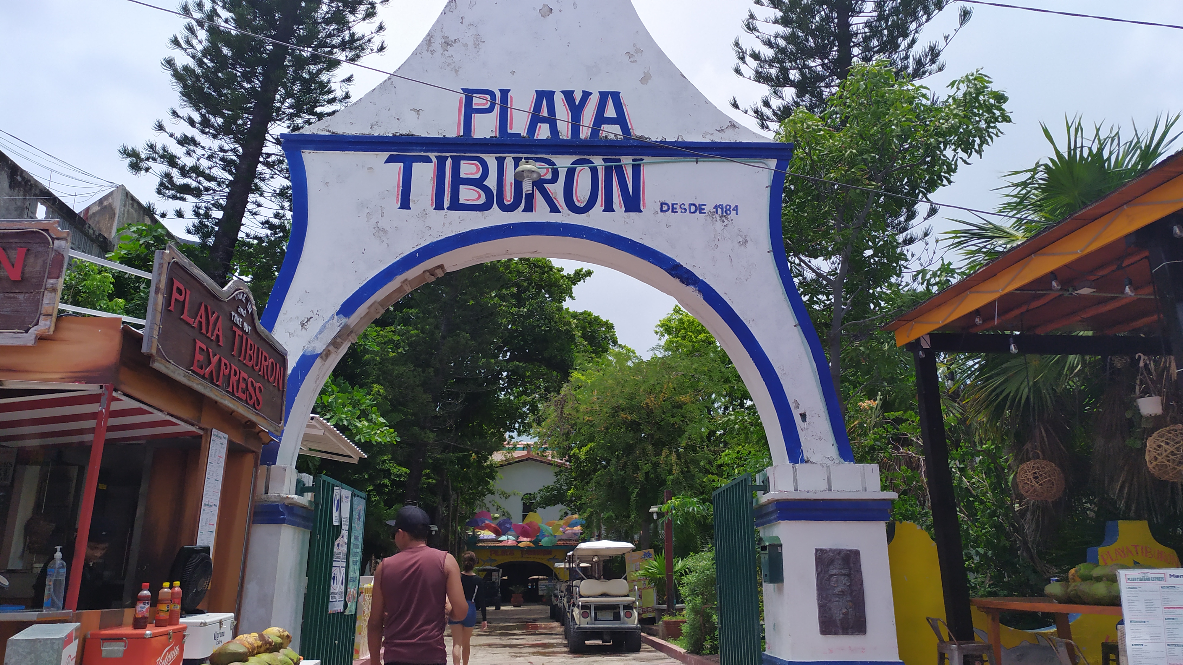 Playa Tiburon image 1