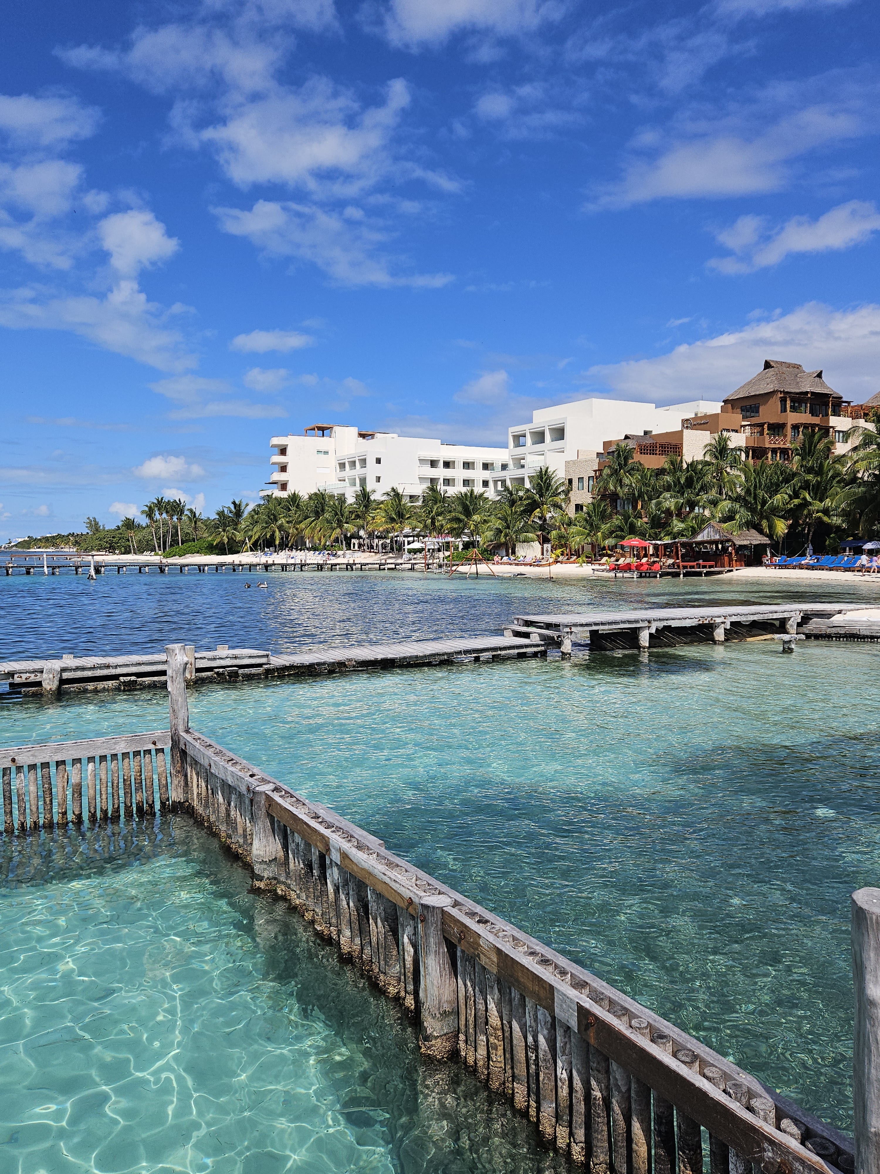 Playa Tiburon image 6