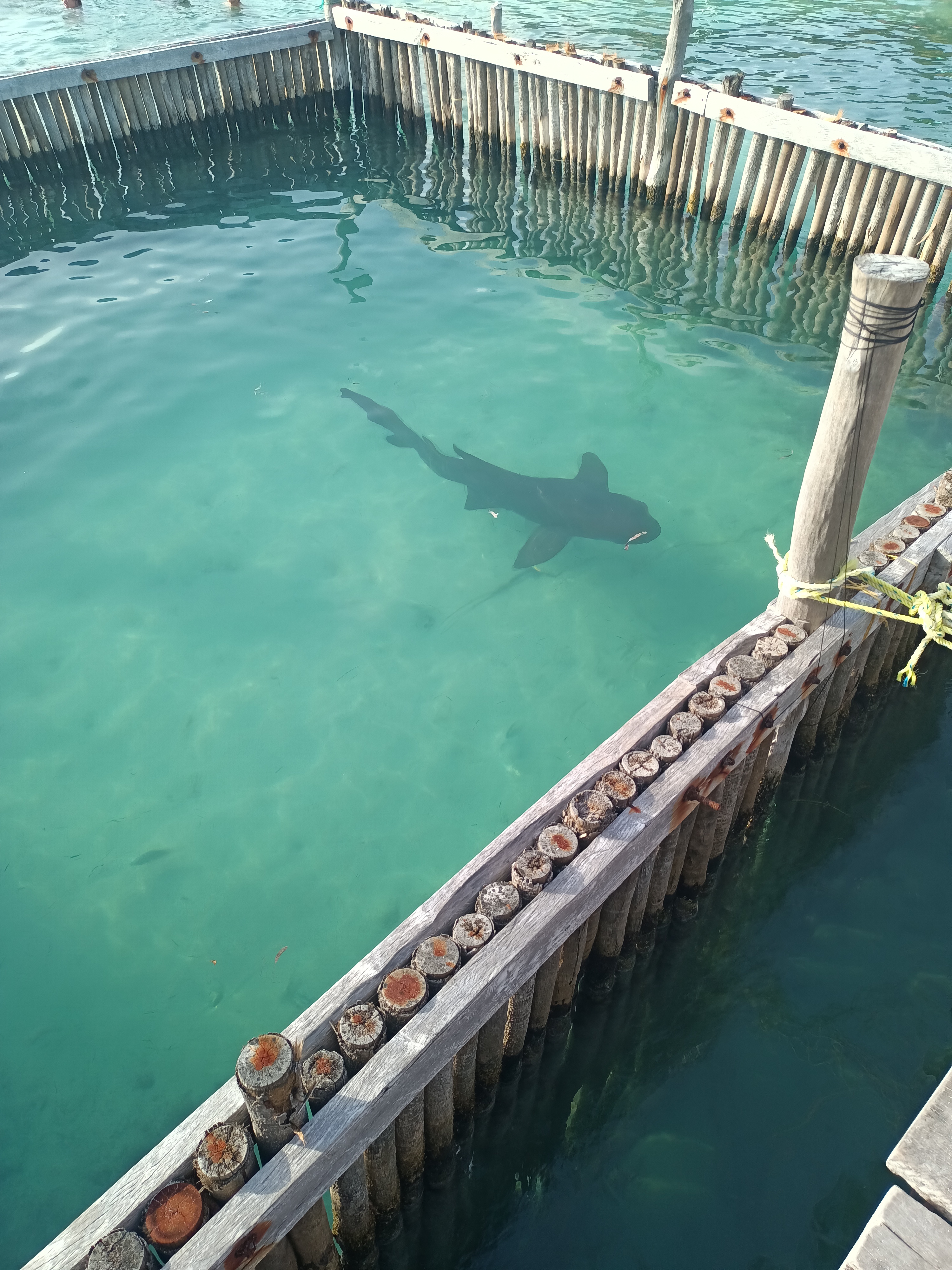 Playa Tiburon image 7