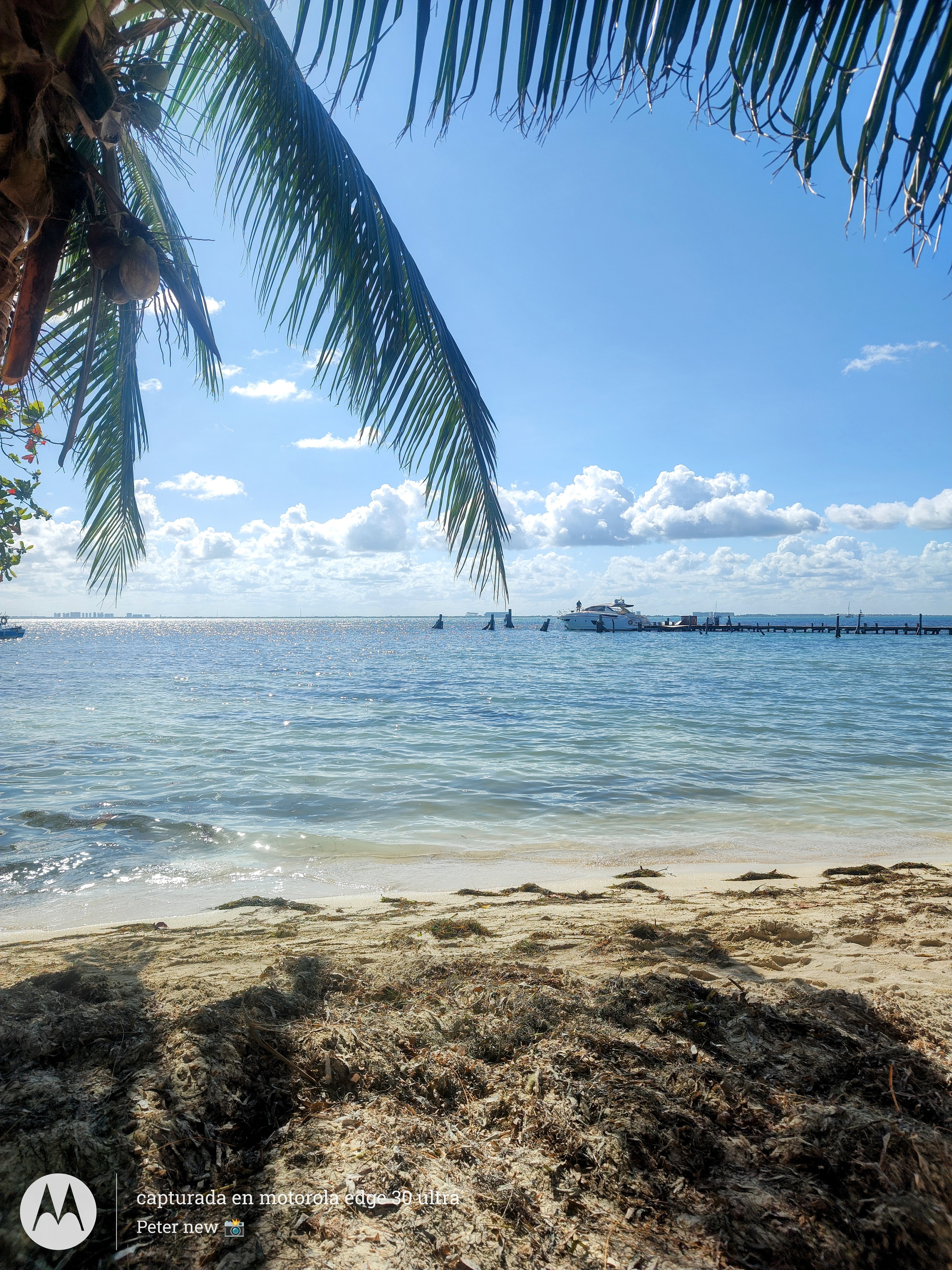 Playa Tiburon image 8