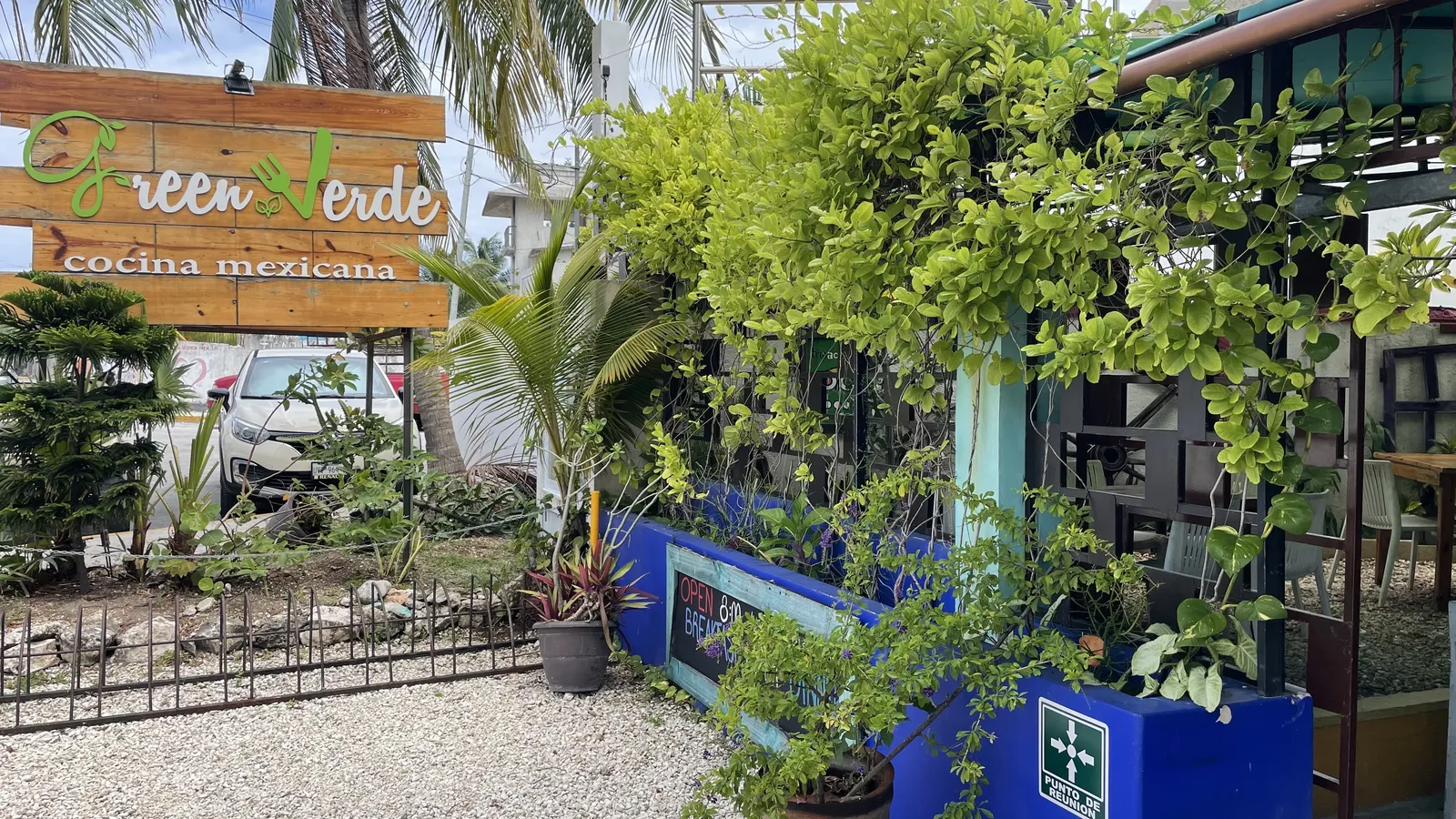 Green Verde image 3
