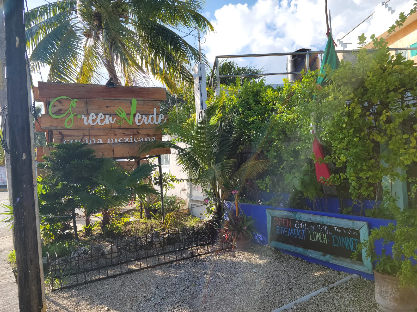 Green Verde image 6