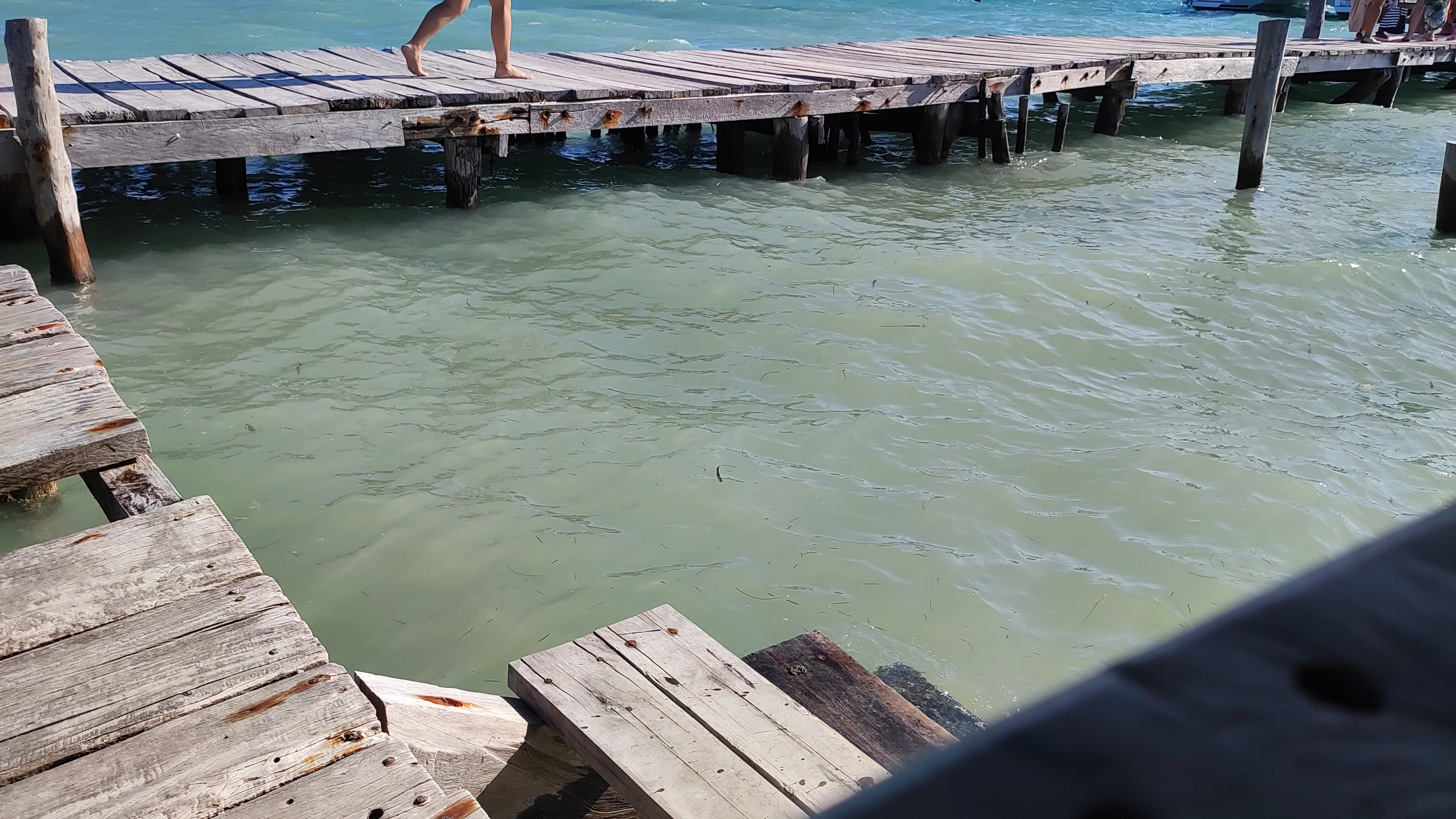 Playa Lancheros "La casa del Tikinxic" image 7