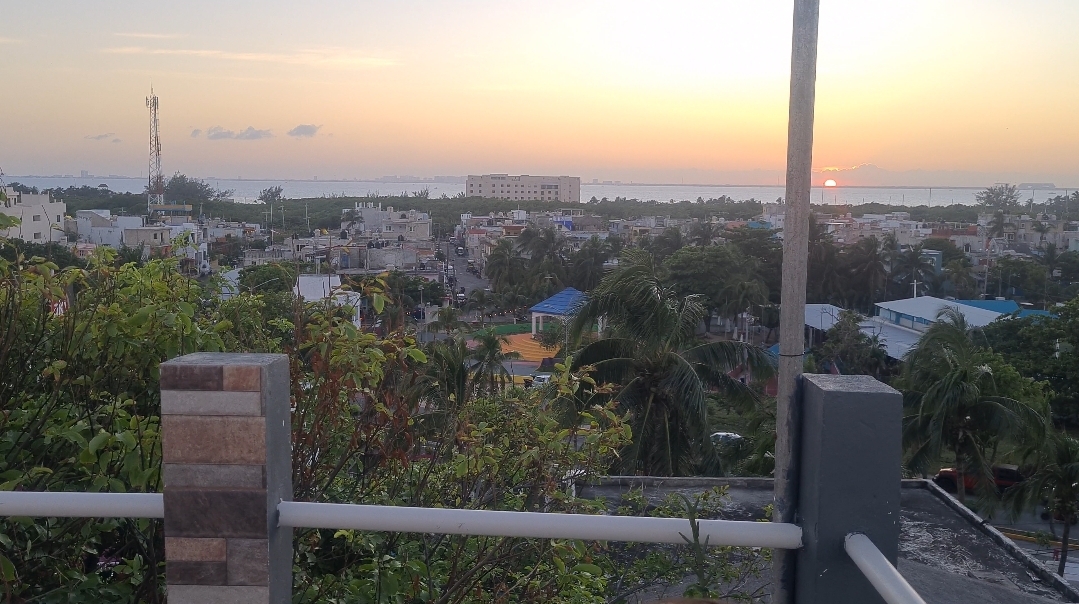 La Casa del Ceviche image 7