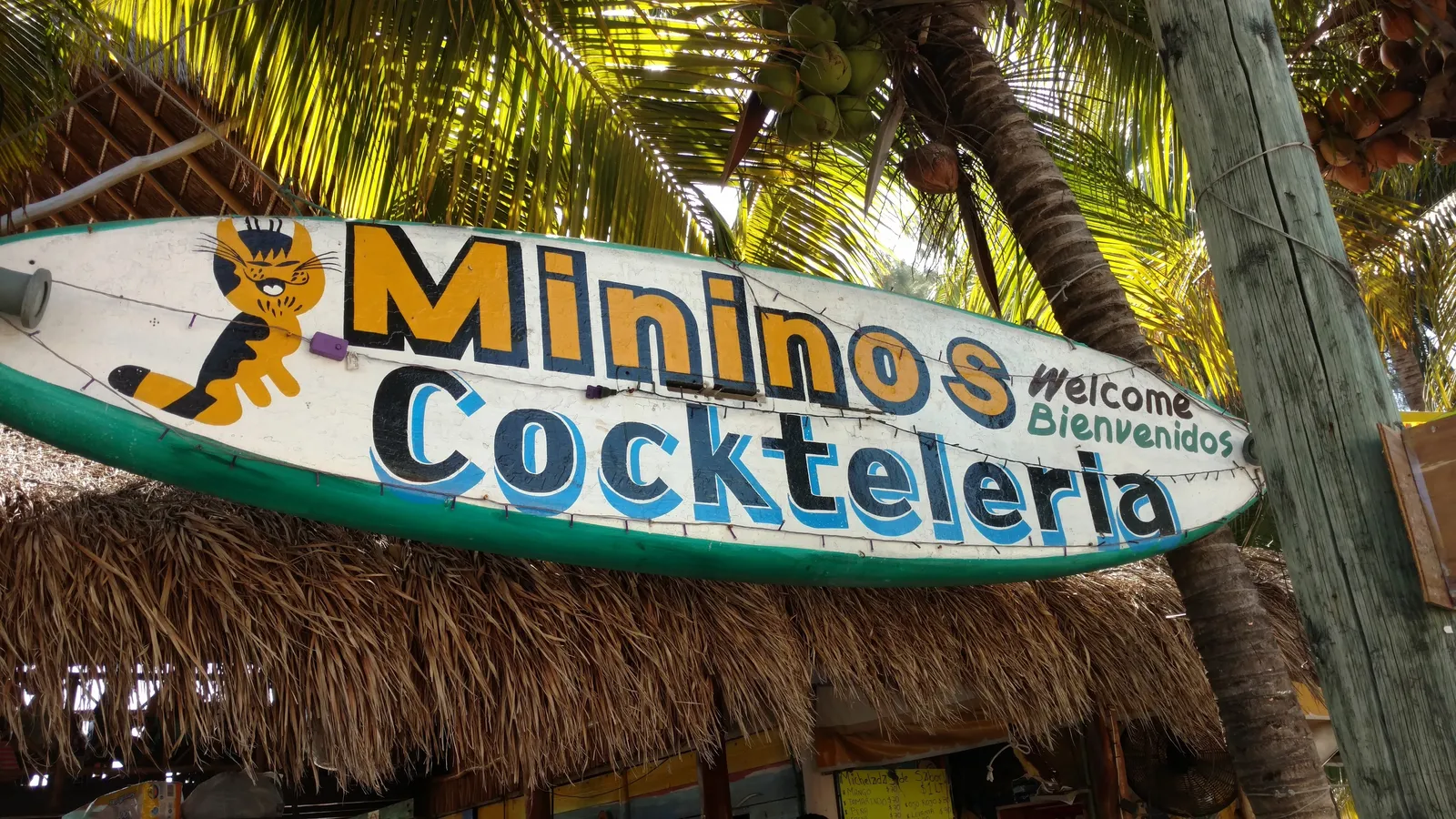 Minino's image 9