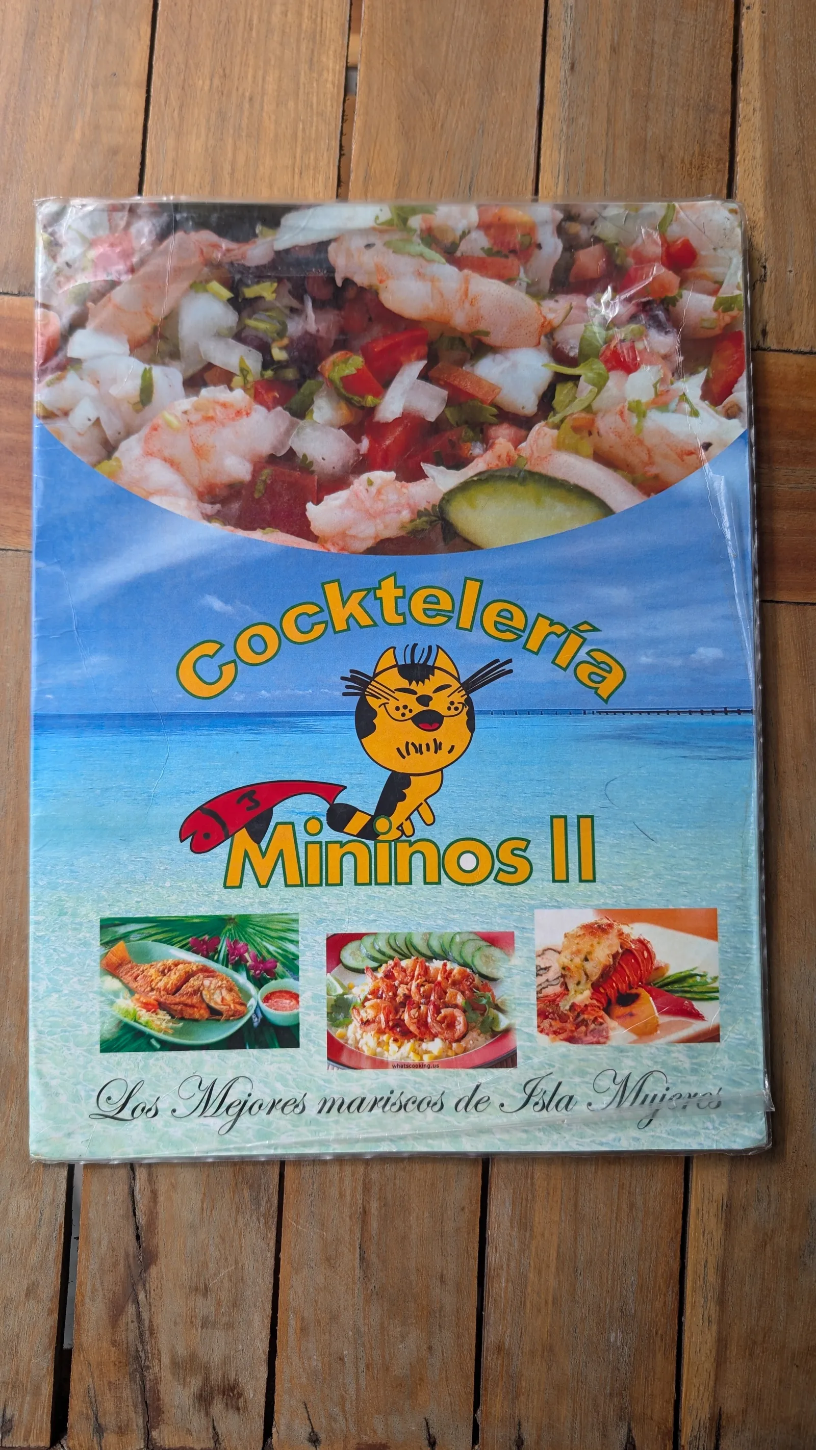 Minino's image 10