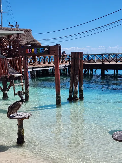 Muelle 7 image 4